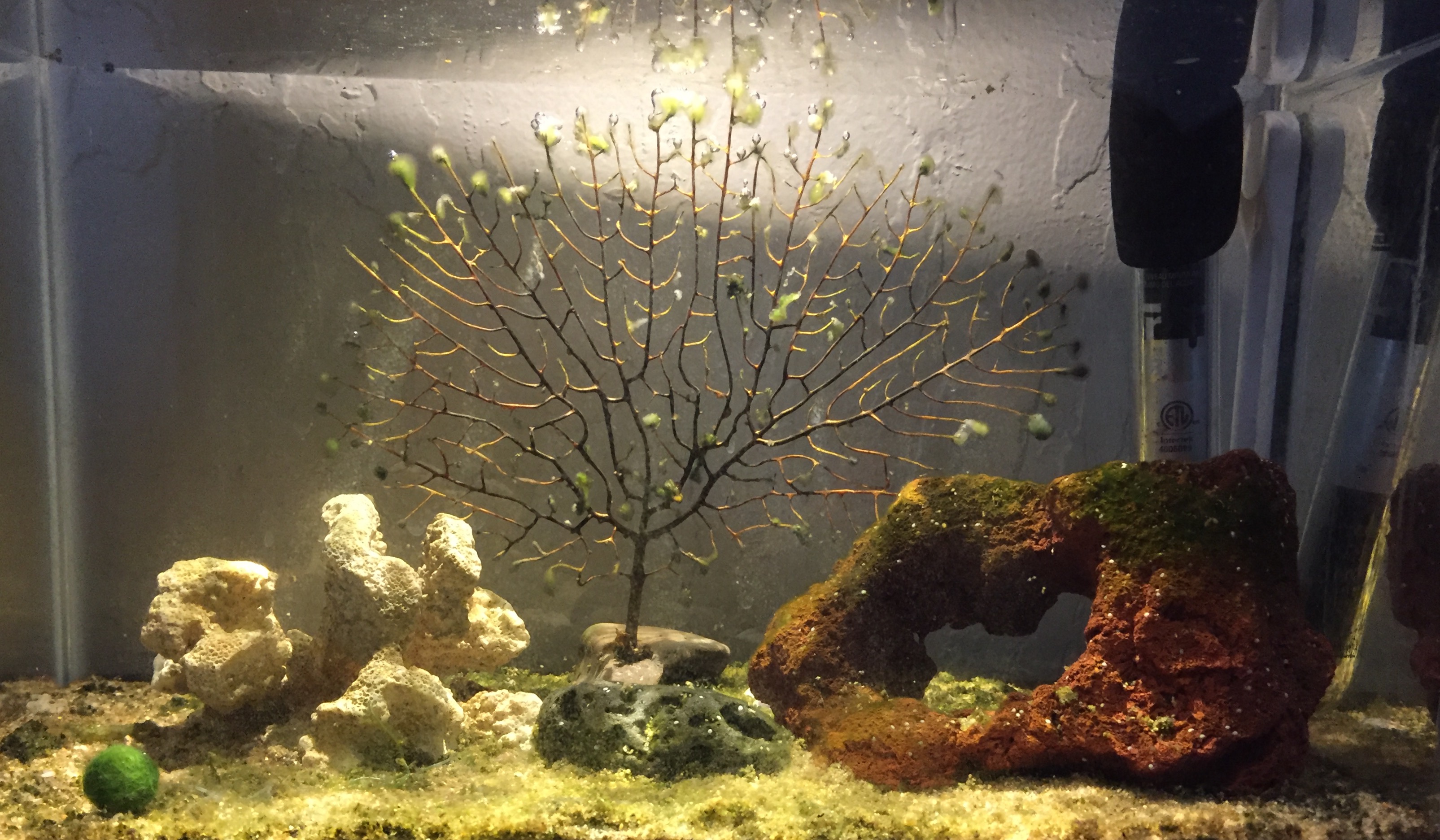 FullSizeRender (2).jpg