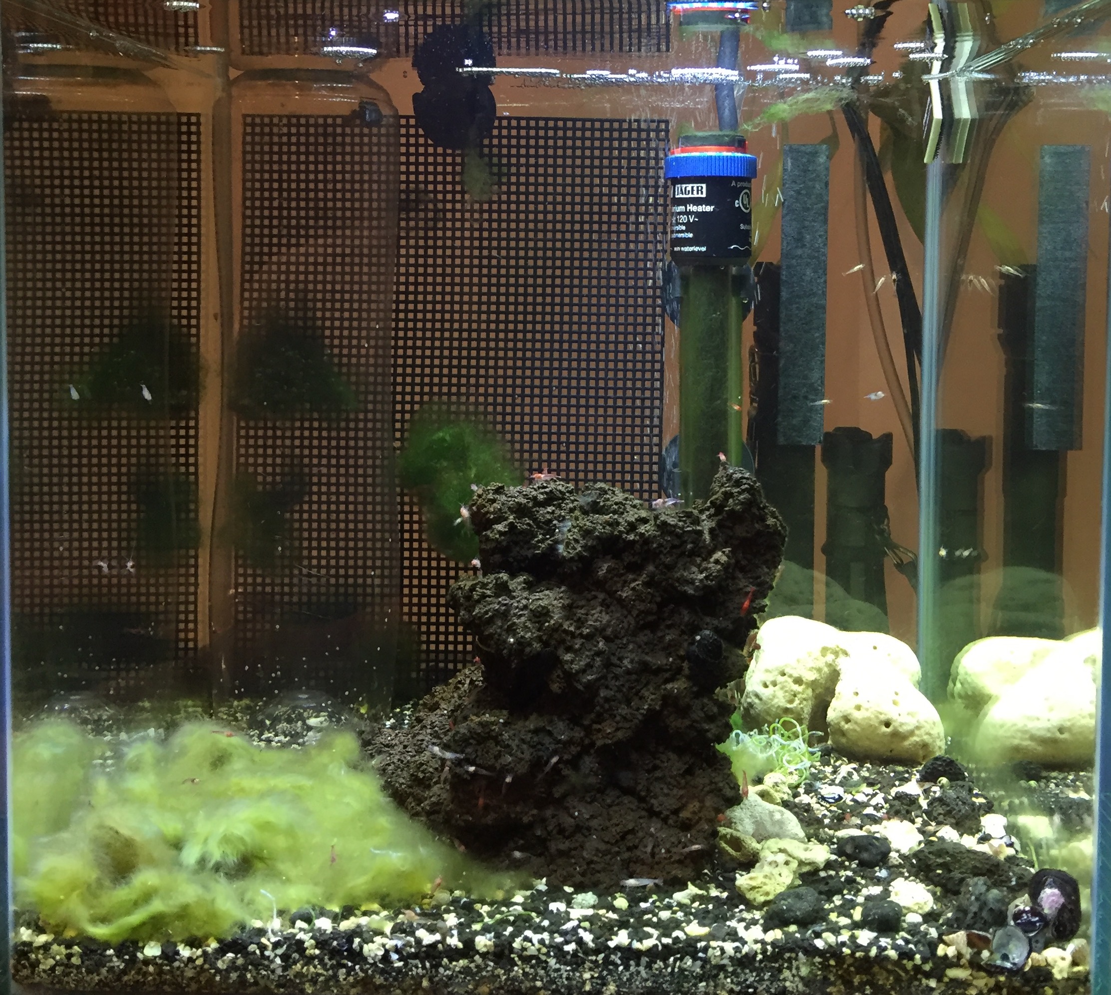 FullSizeRender (3).jpg