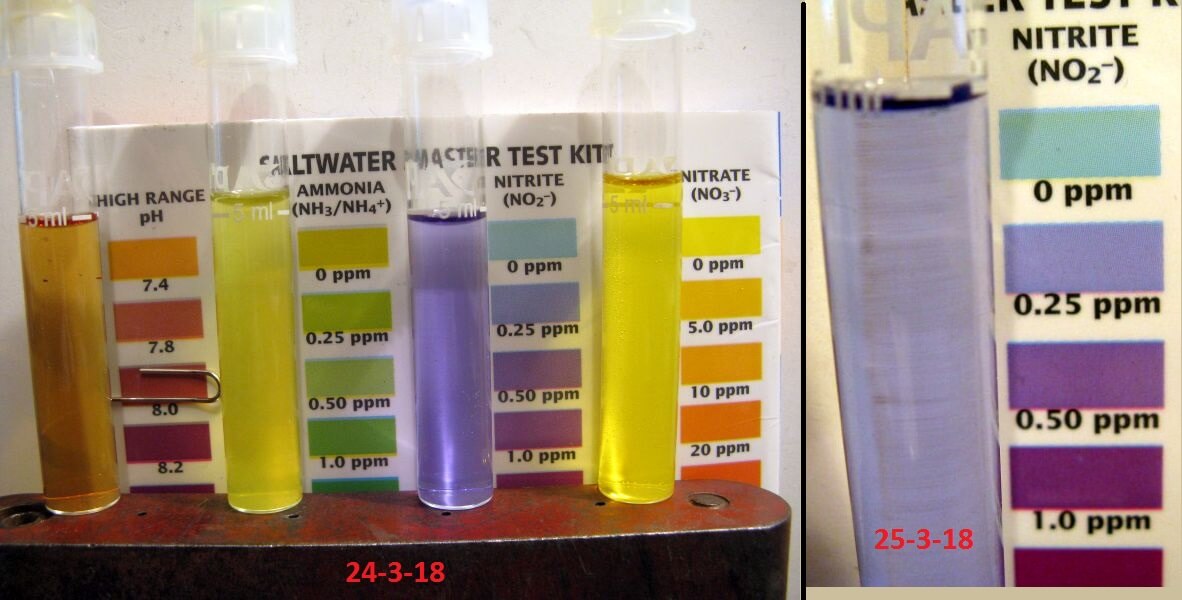 Nitrite 24-3-18 to 25-3-18.jpg