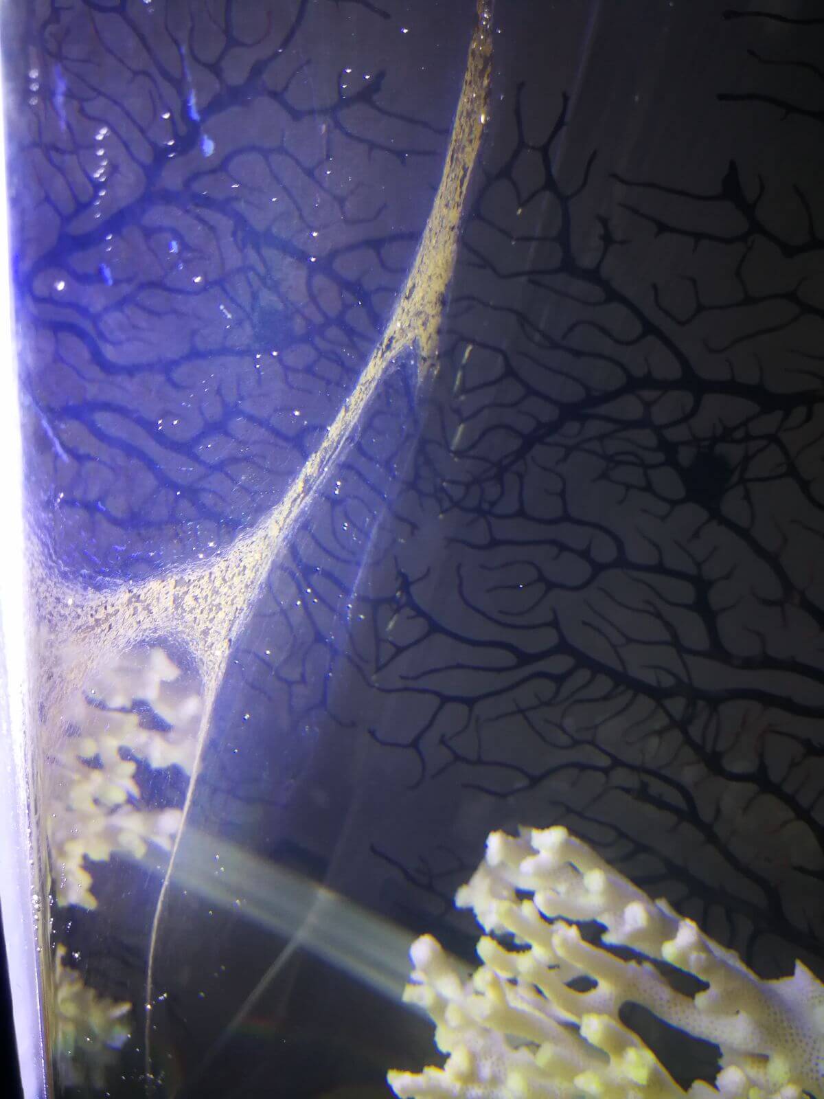 WhatsApp Image 2018-03-27 at 20.47.09.jpeg