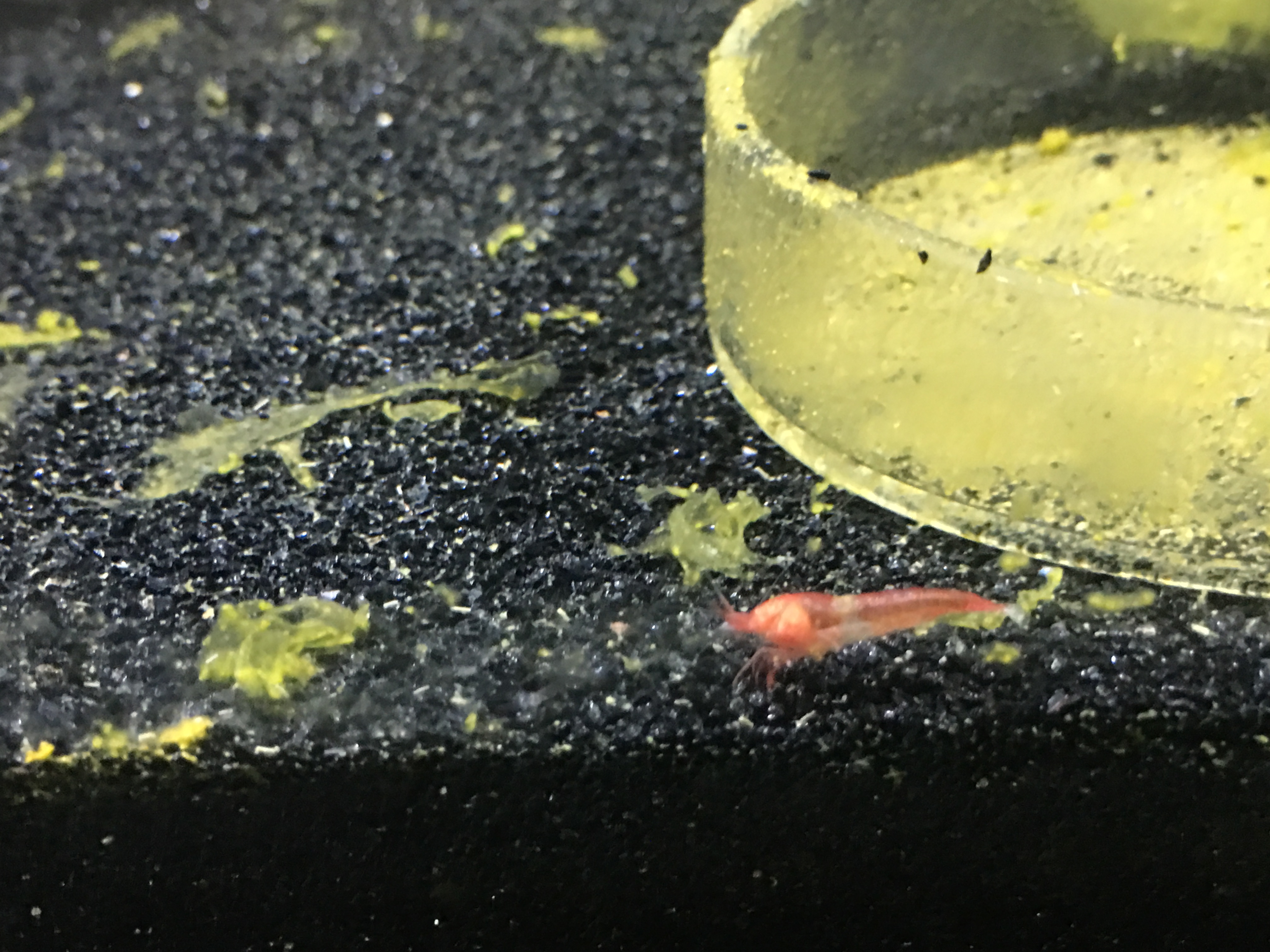 Photo 01-04-2016, 14 40 09.jpg