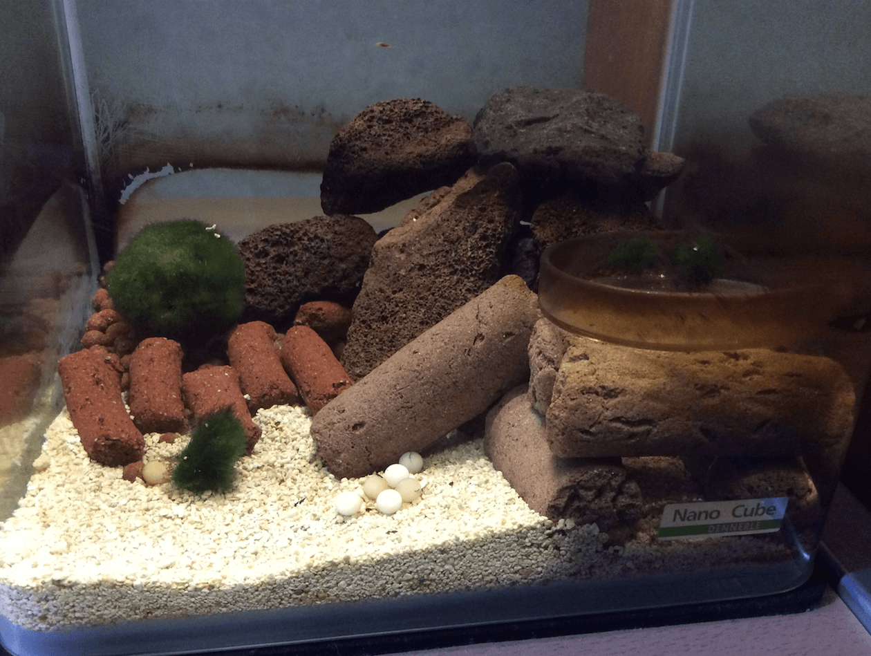 2018-04-13-main-tank.png