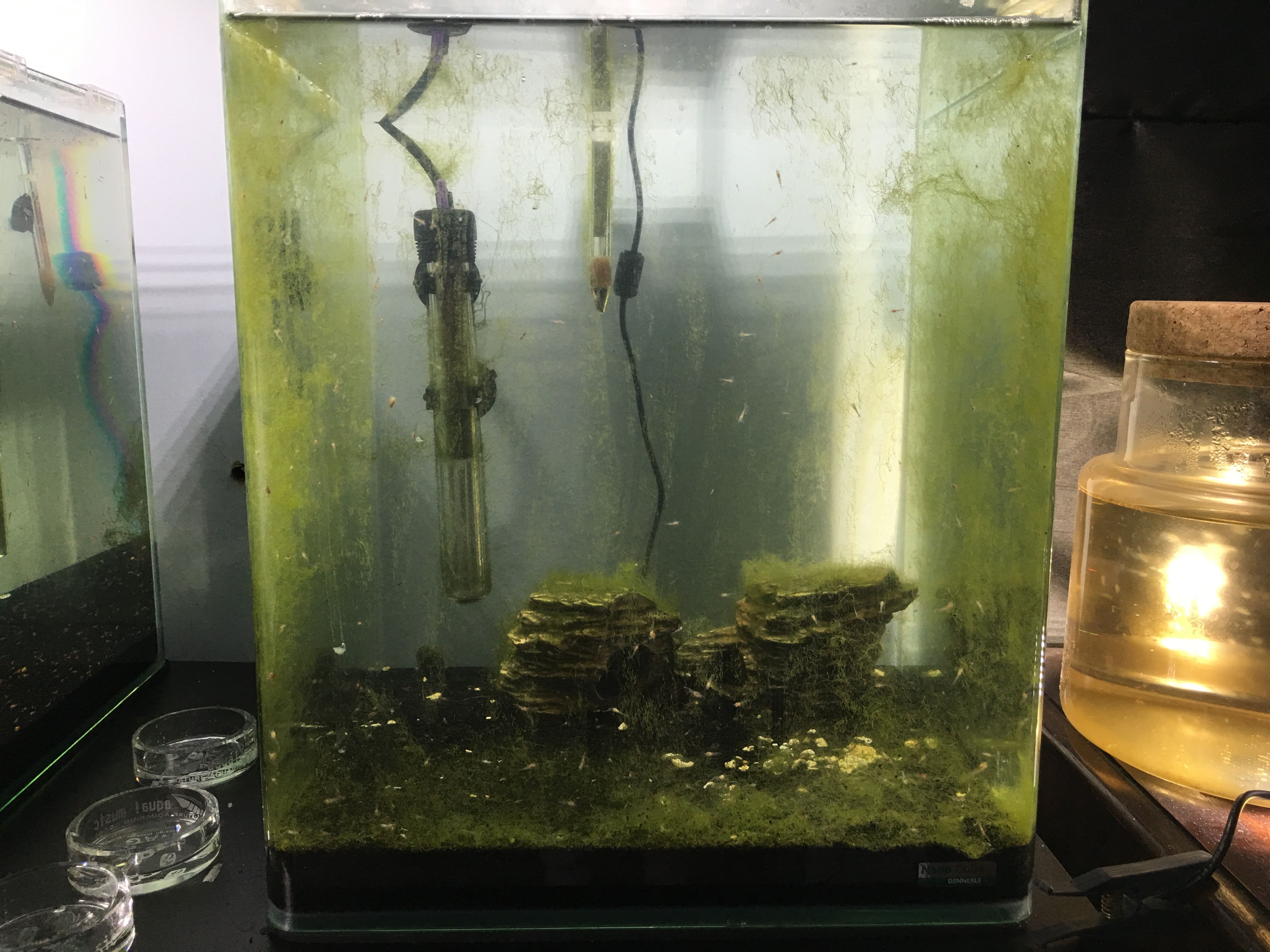 Photo 21-04-2018, 12 59 28.jpg