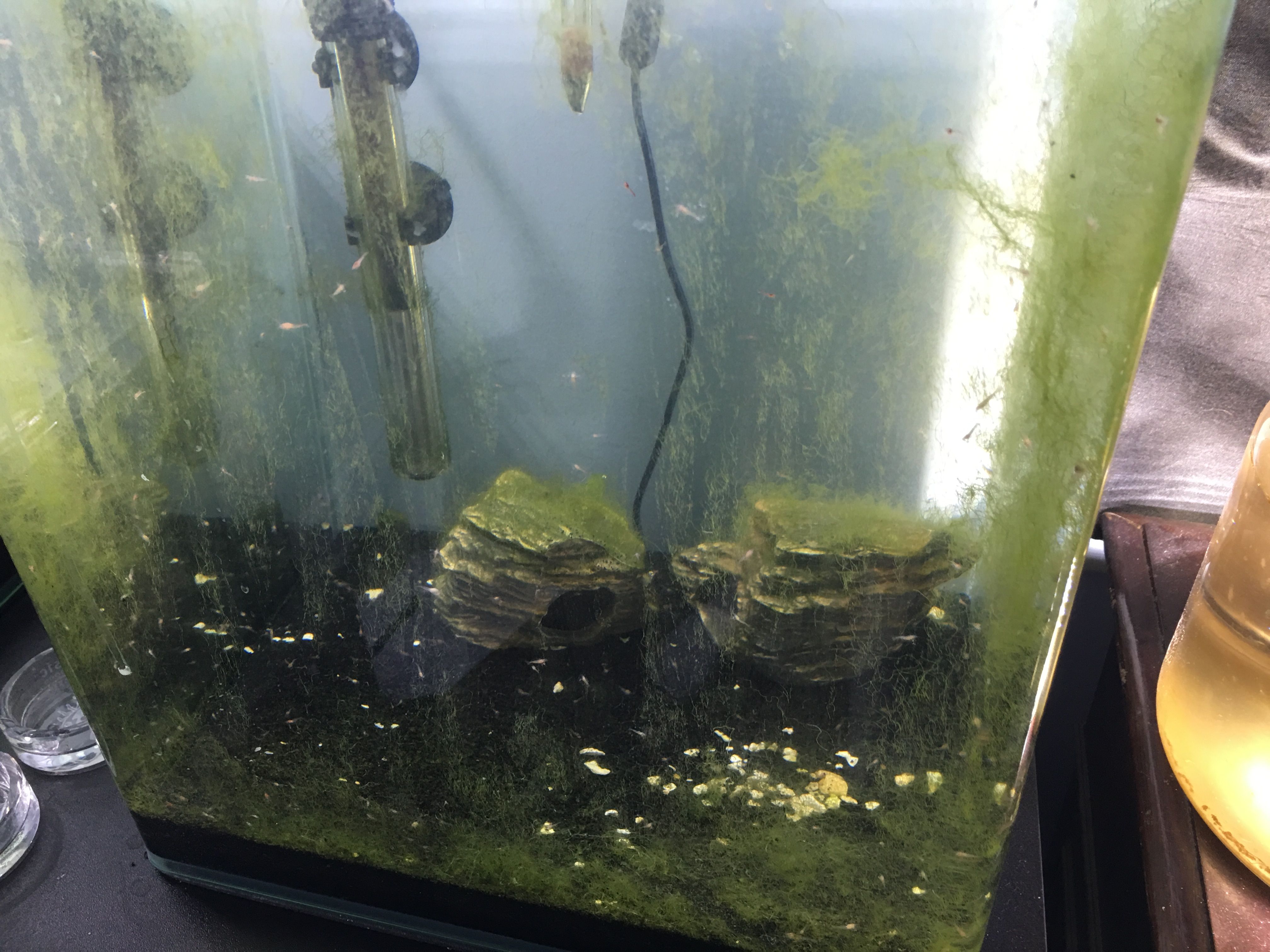 Photo 21-04-2018, 13 01 33.jpg