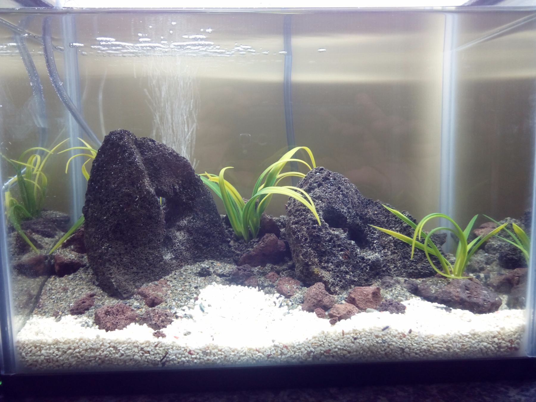 Waiting for cycle to finish