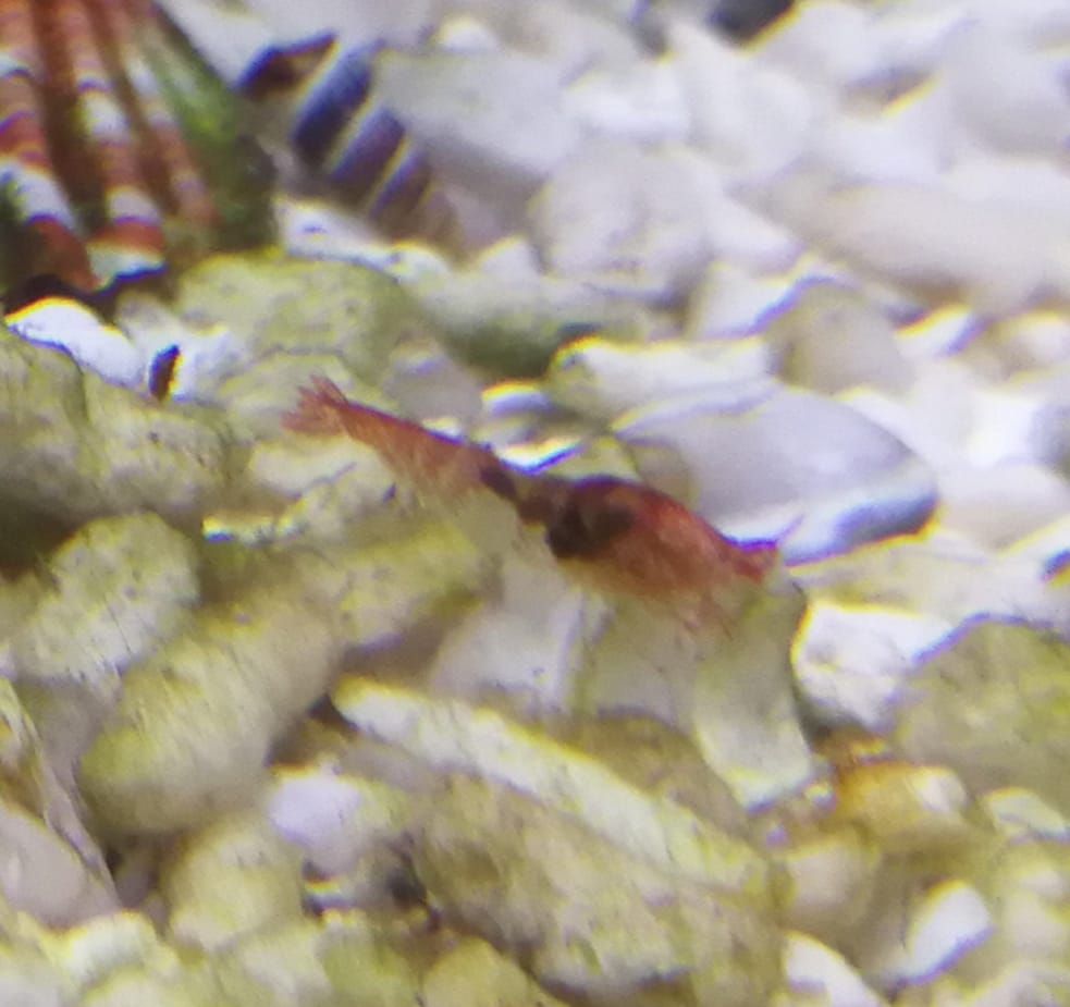 WhatsApp Image 2018-06-04 at 17.30.47.jpeg