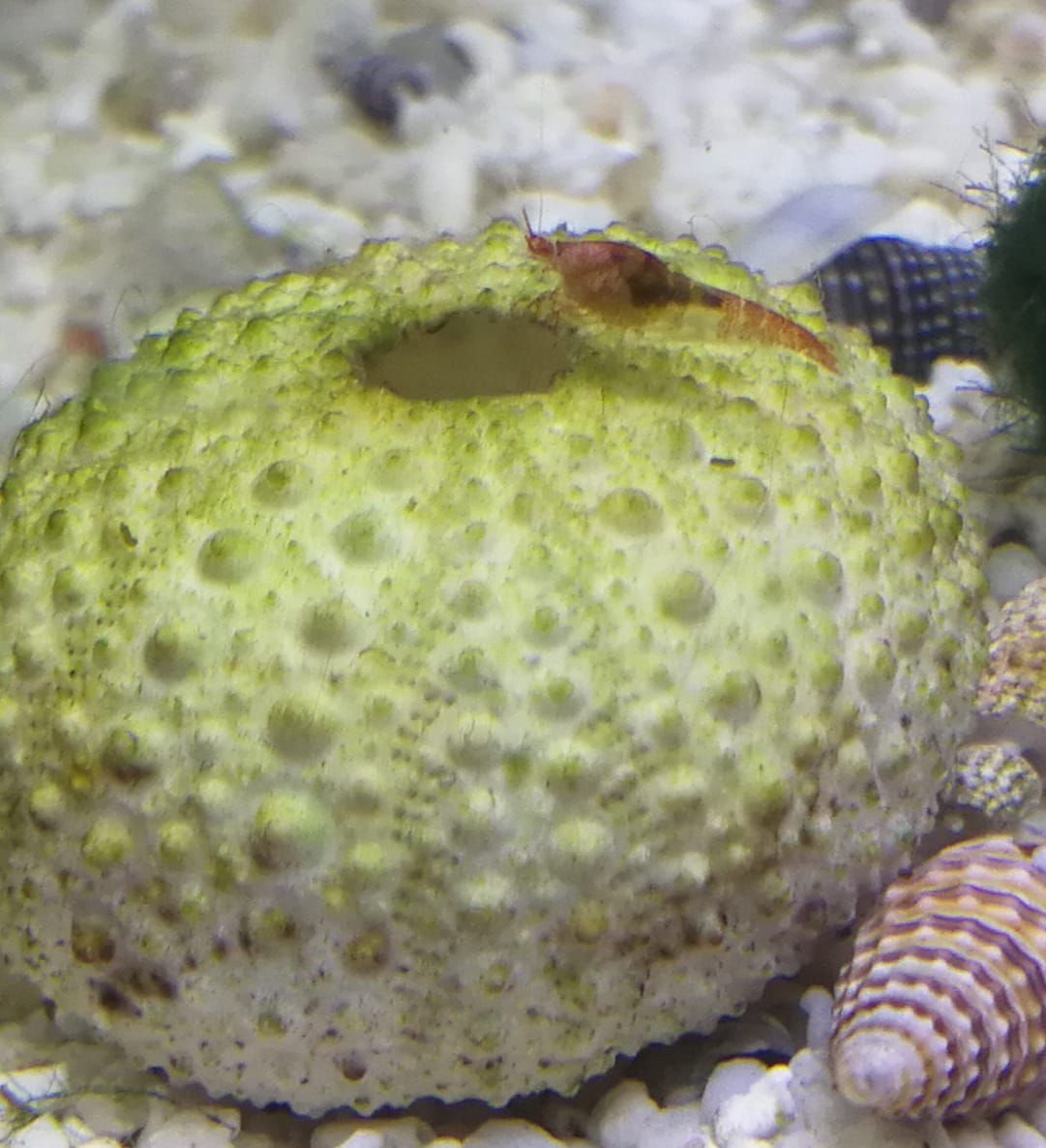 WhatsApp Image 2018-06-04 at 17.32.06.jpeg