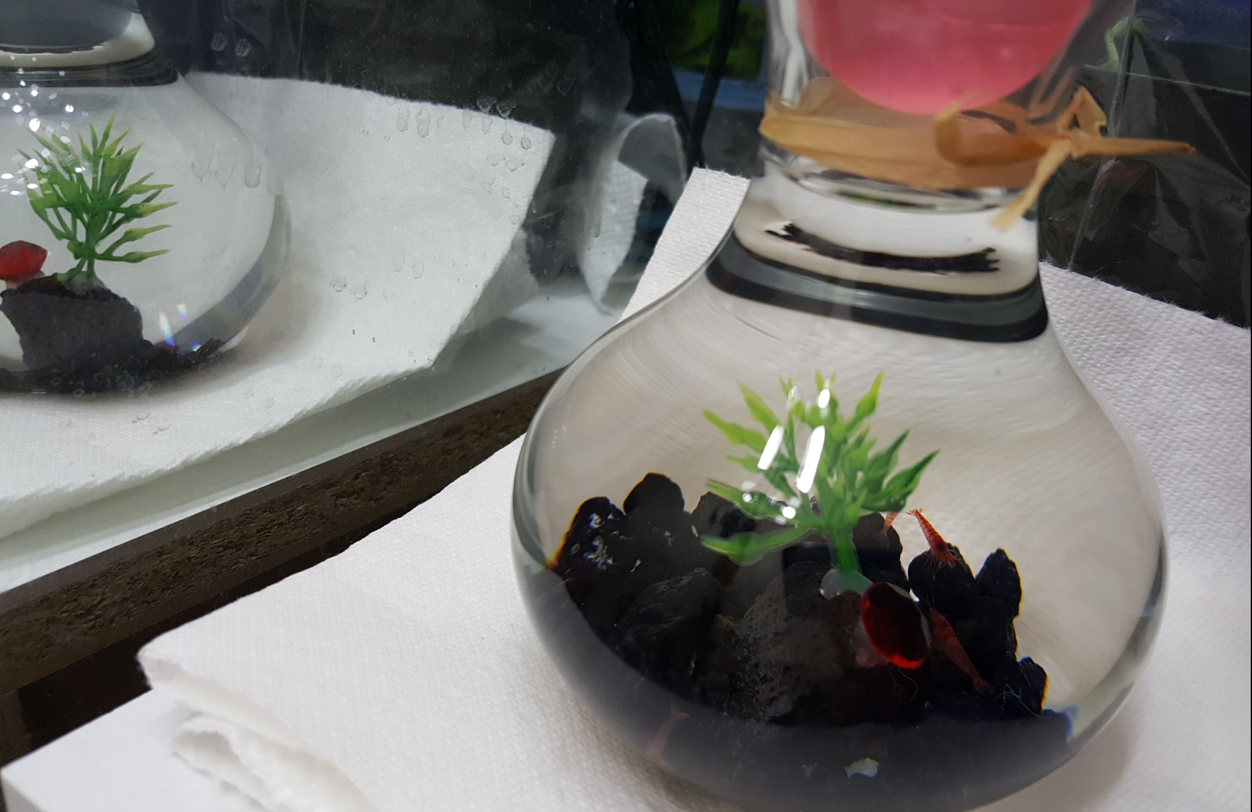 20180628_102003.jpg