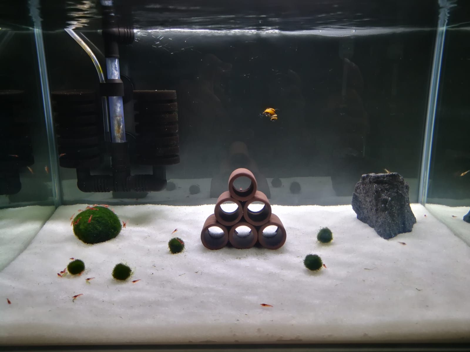 WhatsApp Image 2018-09-12 at 16.21.34.jpeg