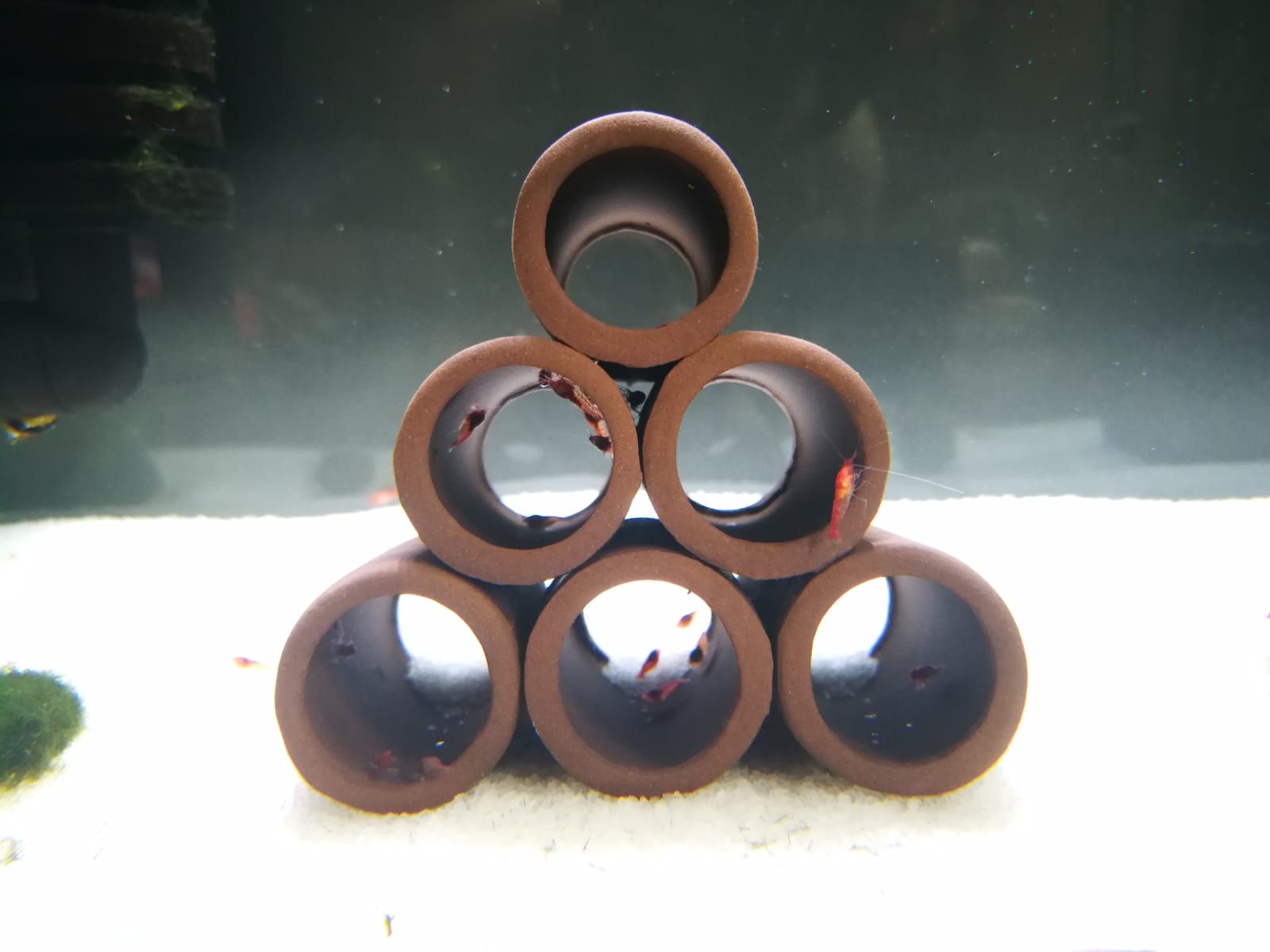 WhatsApp Image 2018-09-16 at 13.36.09.jpeg