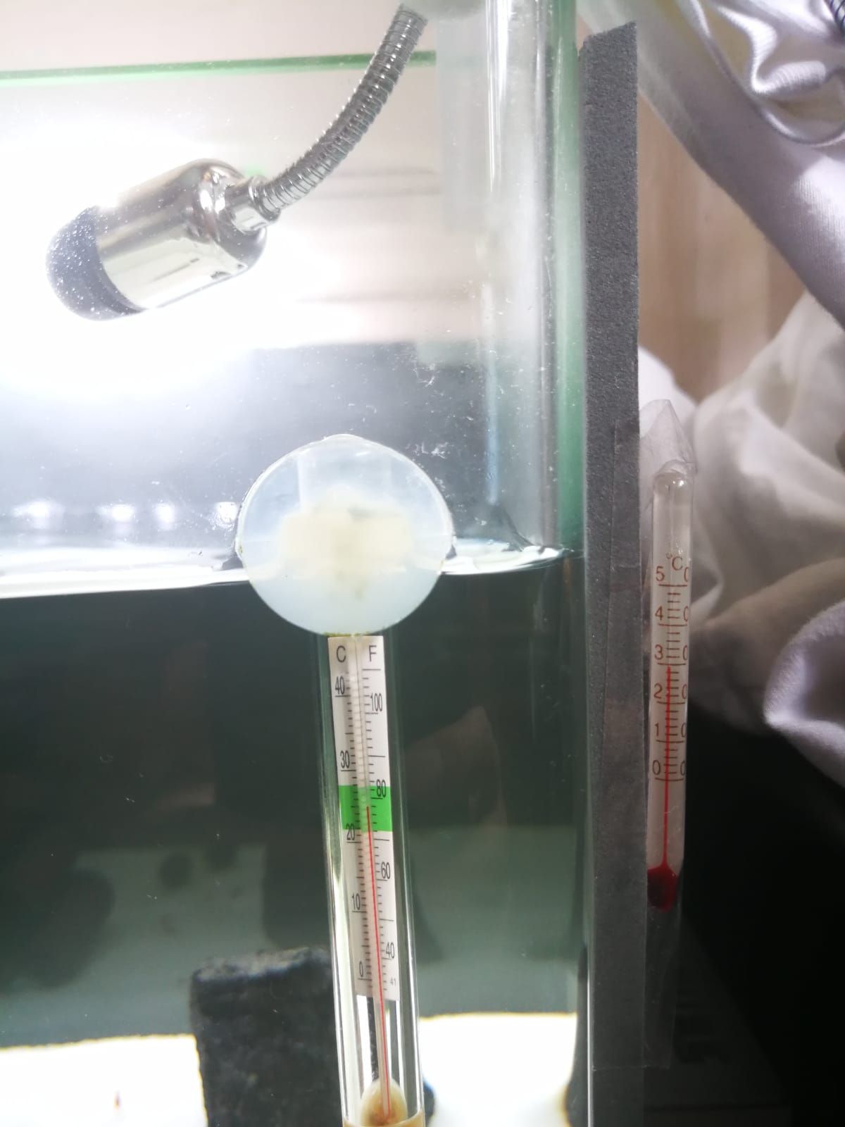 WhatsApp Image 2018-09-17 at 13.00.34.jpeg