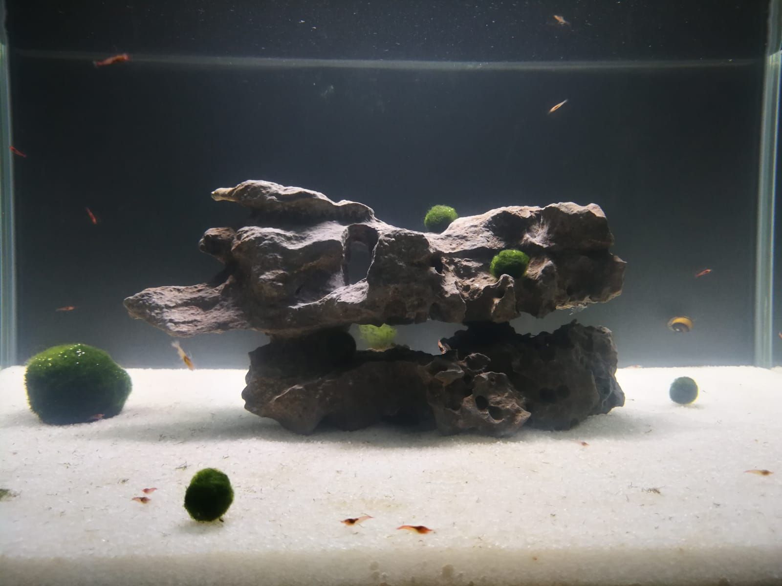 WhatsApp Image 2018-09-27 at 03.11.41.jpeg