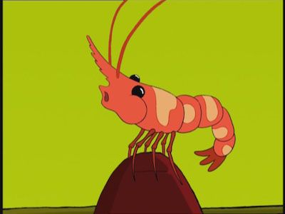 Windy_Shrimp.jpg