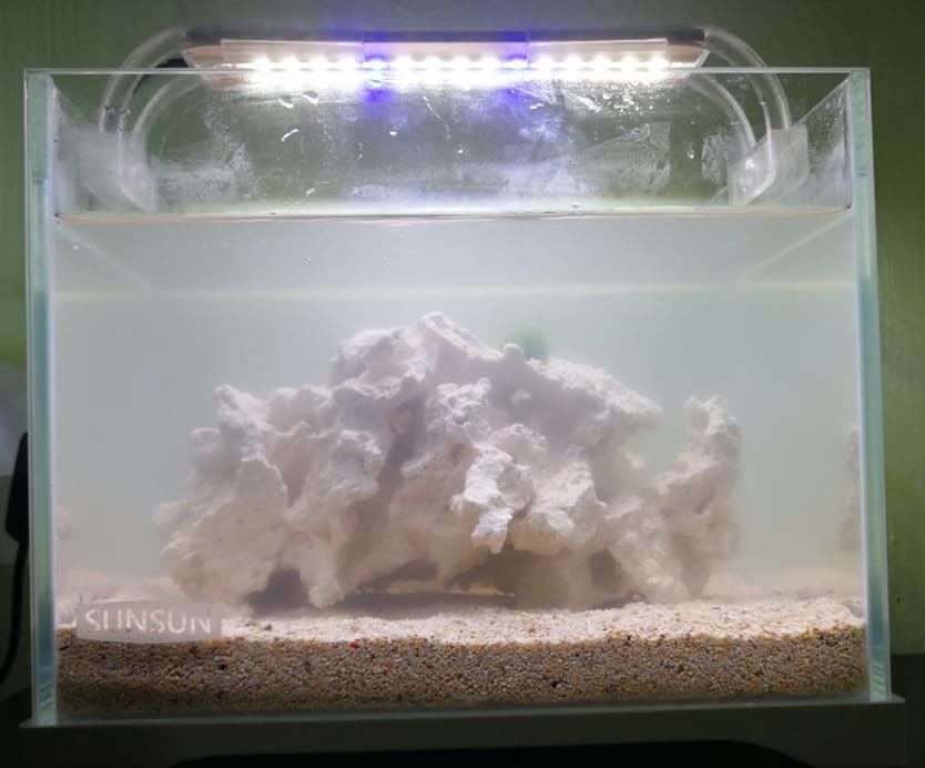 WhatsApp Image 2018-11-11 at 01.32.15.jpeg