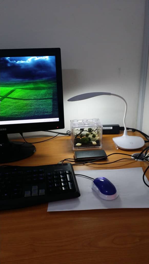 WhatsApp Image 2018-12-10 at 8.30.12 AM.jpeg