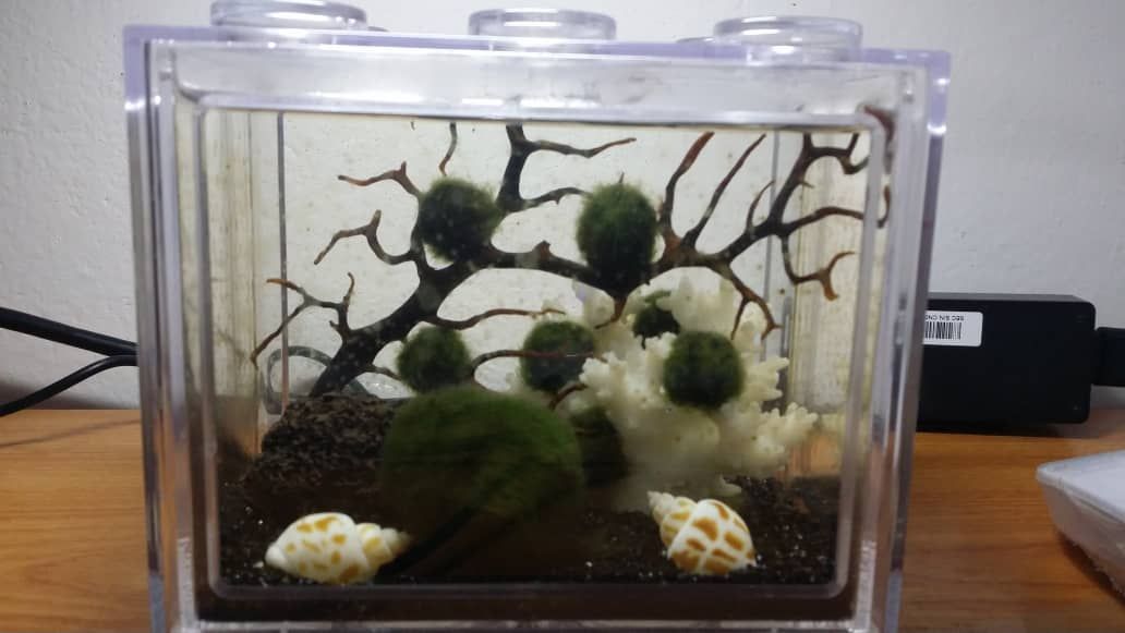 WhatsApp Image 2018-12-10 at 8.44.27 AM.jpeg