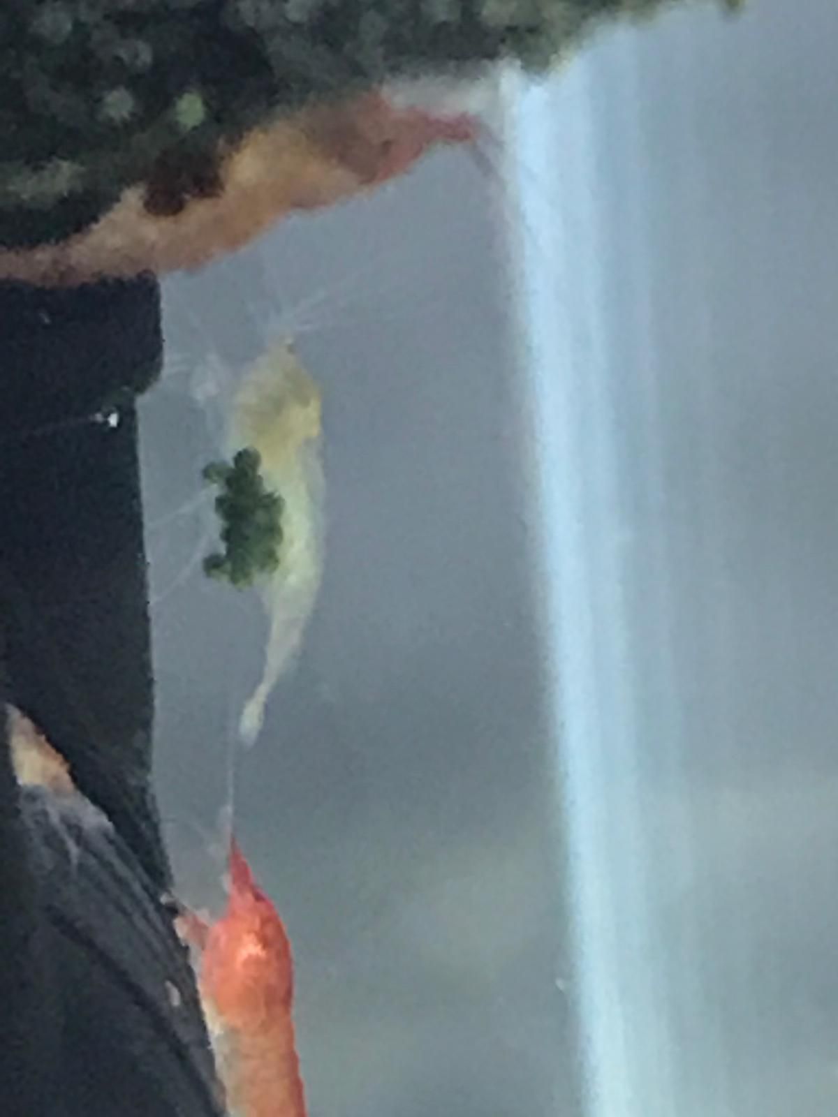 WhatsApp Image 2019-03-02 at 13.54.12.jpeg