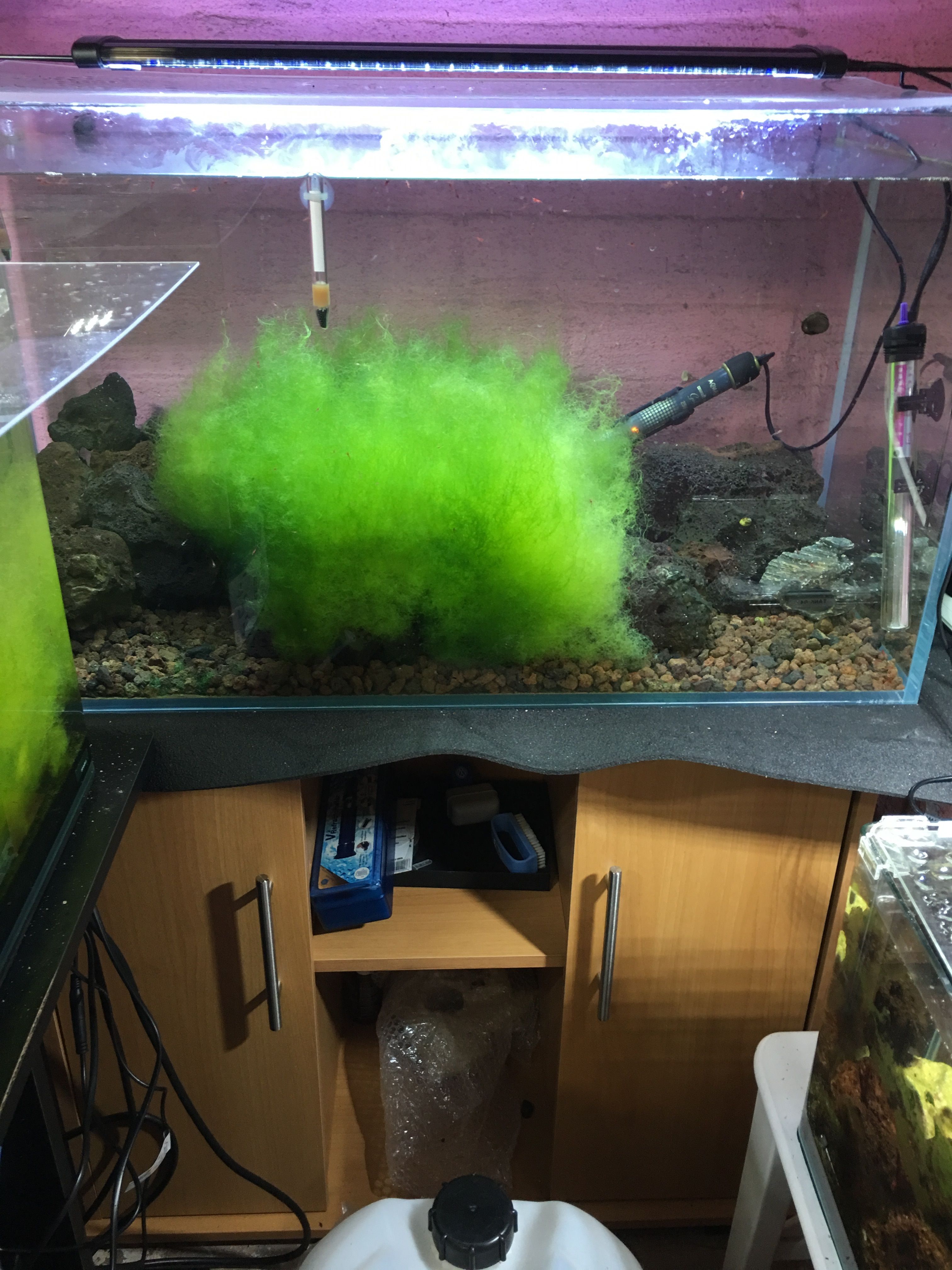 Photo 03-05-2019, 19 14 22_cleaned.jpg