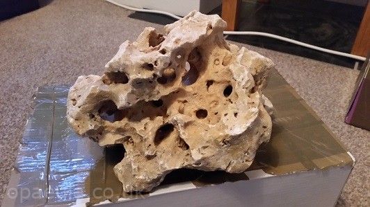 20141031_174449.jpg