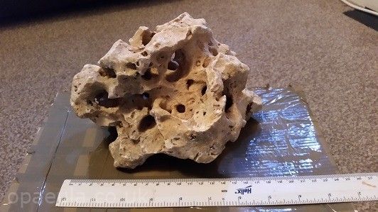 20141031_174541.jpg