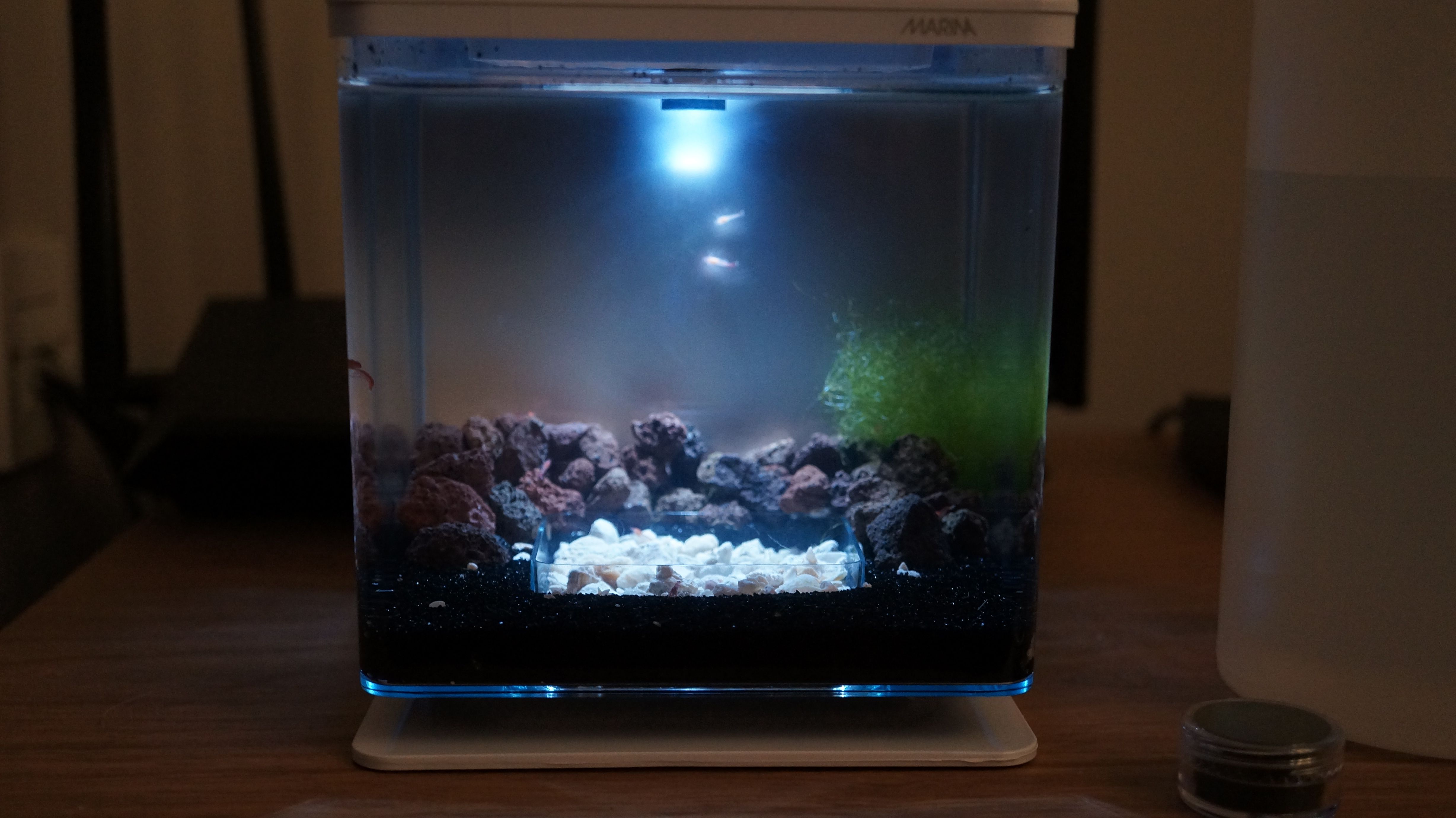 DSC01495_cleaned.JPG