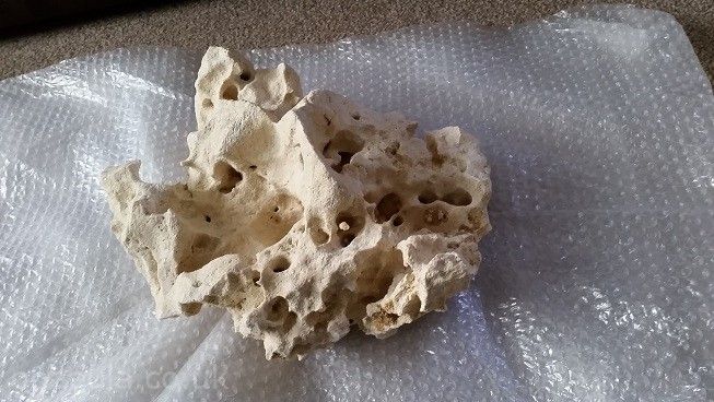 20141111_111238.jpg