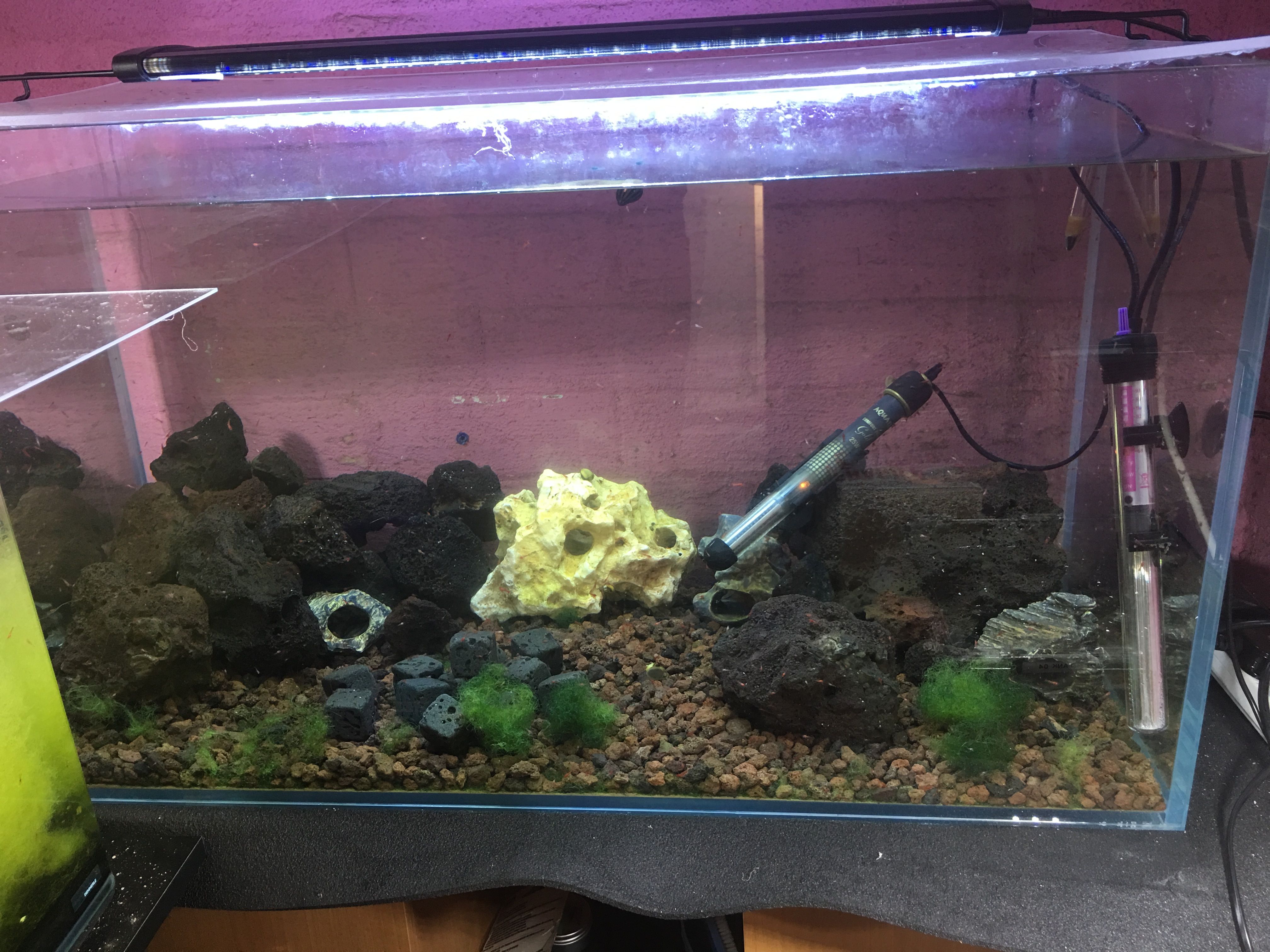 Photo 12-08-2019, 19 20 32_cleaned.jpg