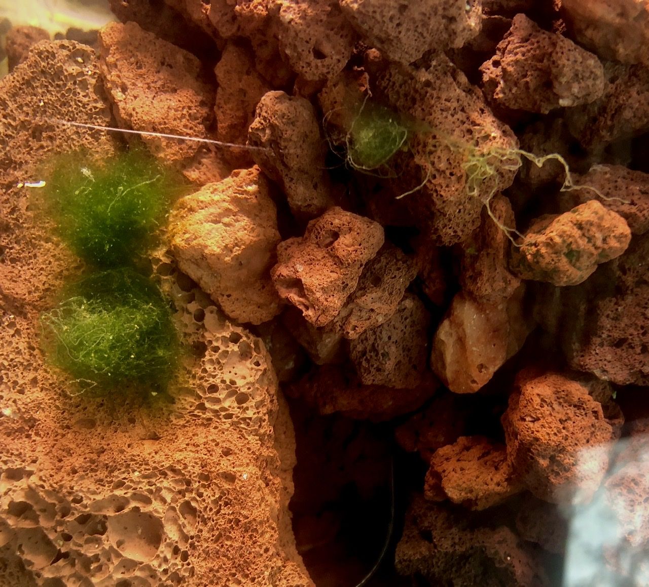 View from the top of open tank