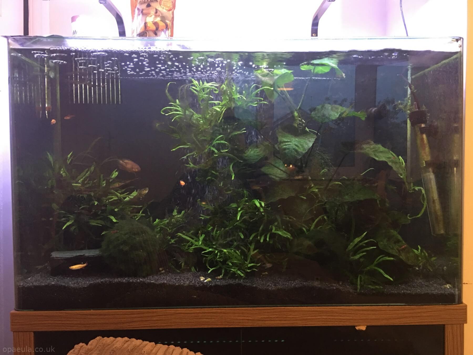 Photo 26-05-2016, 21 11 03.jpg