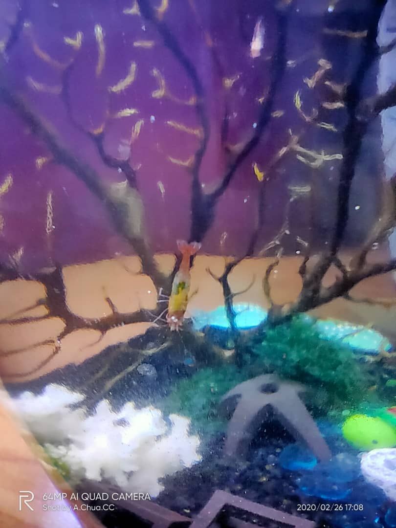 WhatsApp Image 2020-02-26 at 5.09.17 PM.jpeg