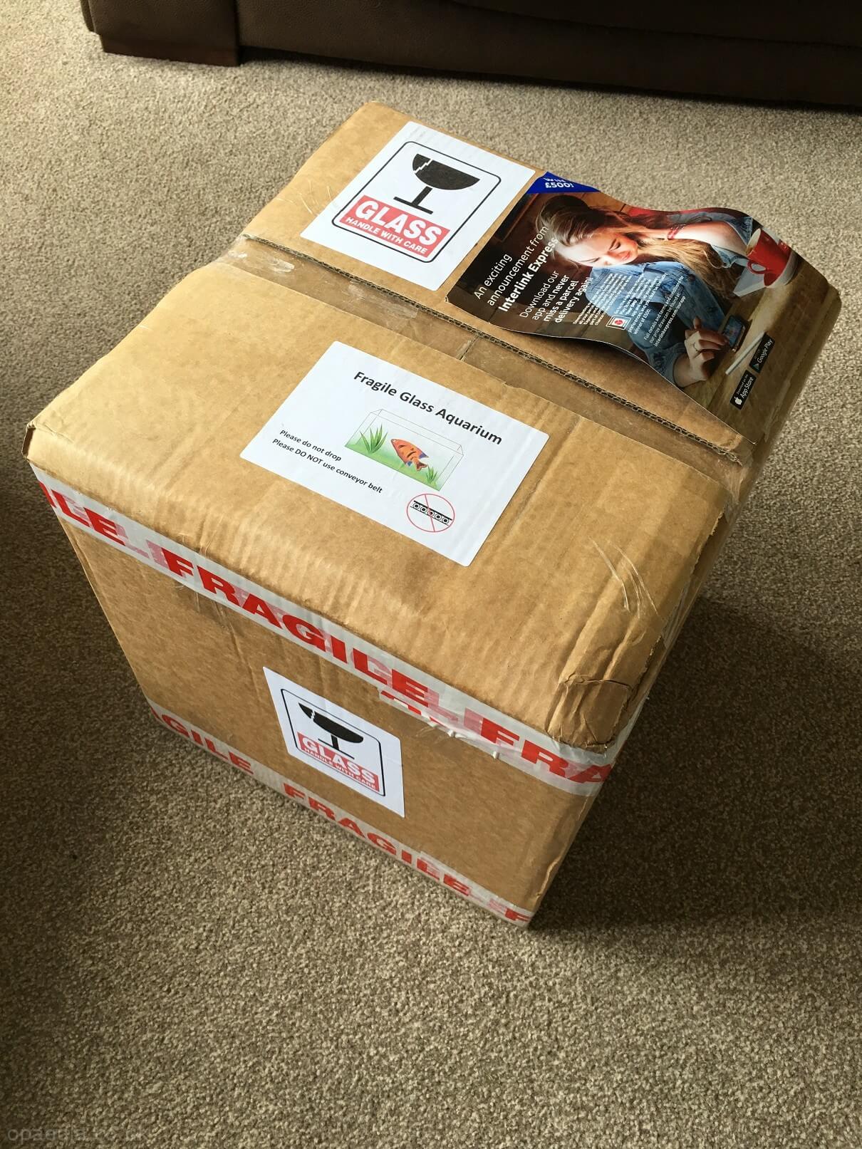 Photo 01-06-2016, 12 55 56.jpg