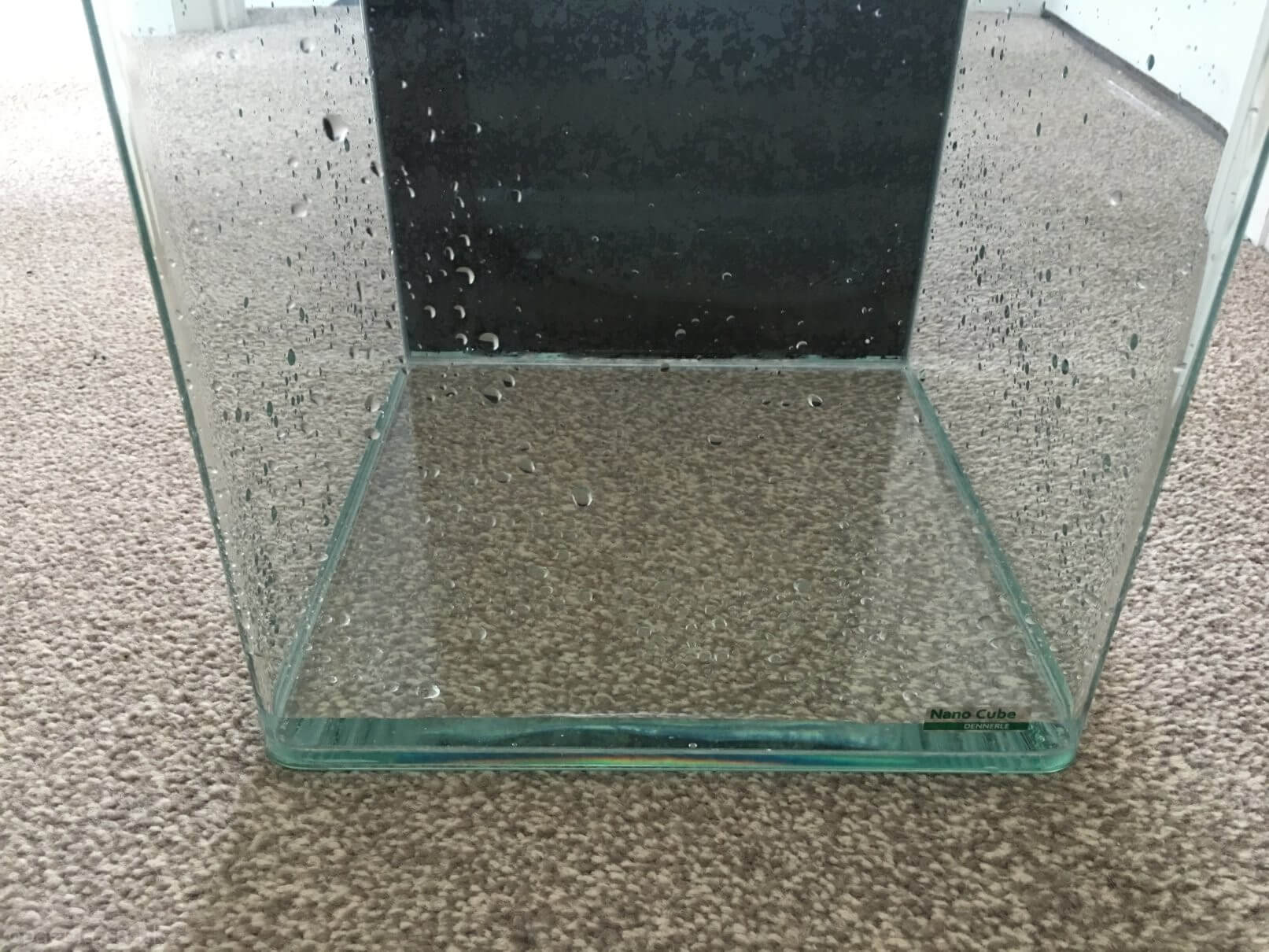 Adding water to clean the new tank.