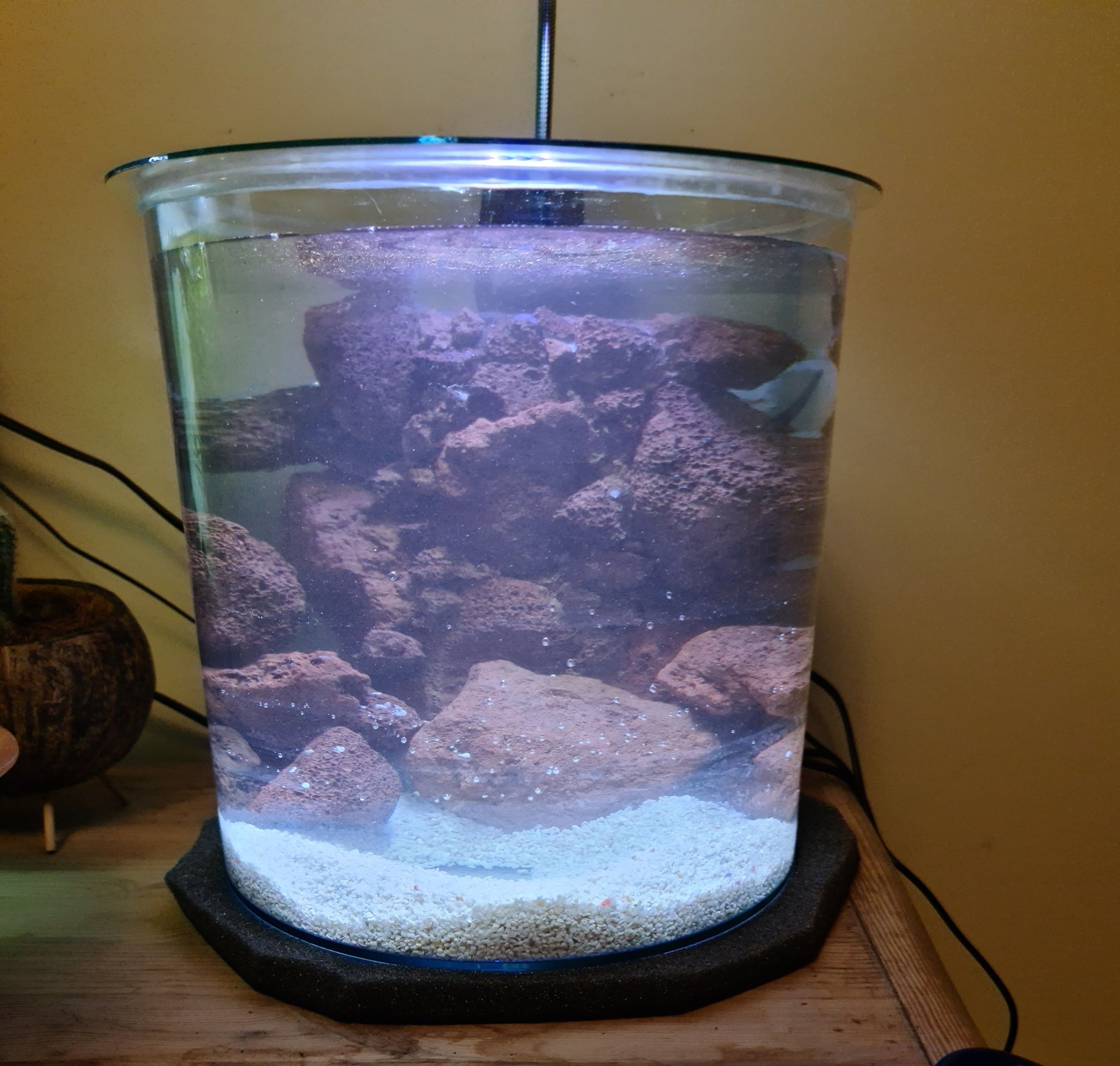 20201103_203742 (1).jpg