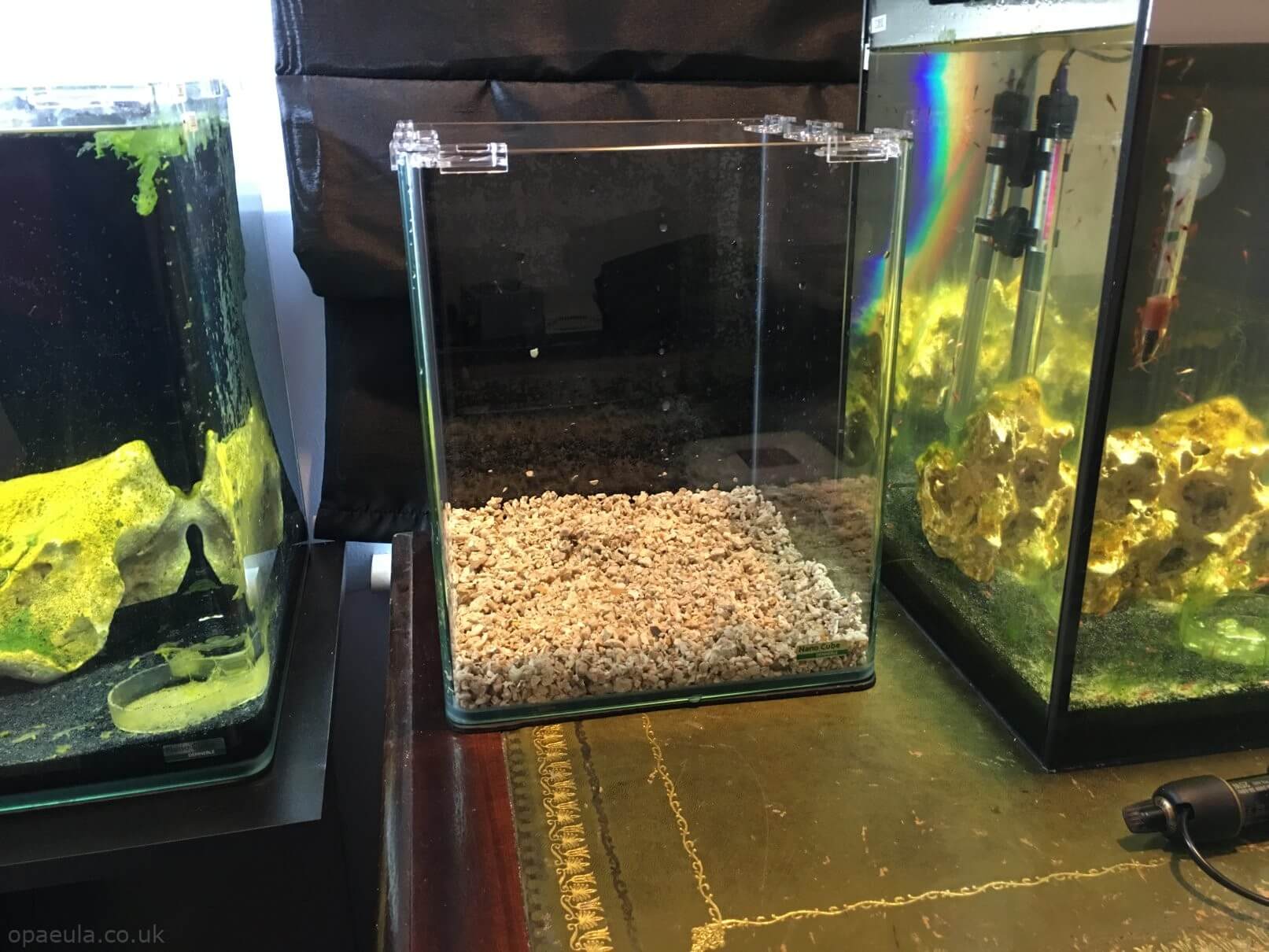 Adding substrate #03