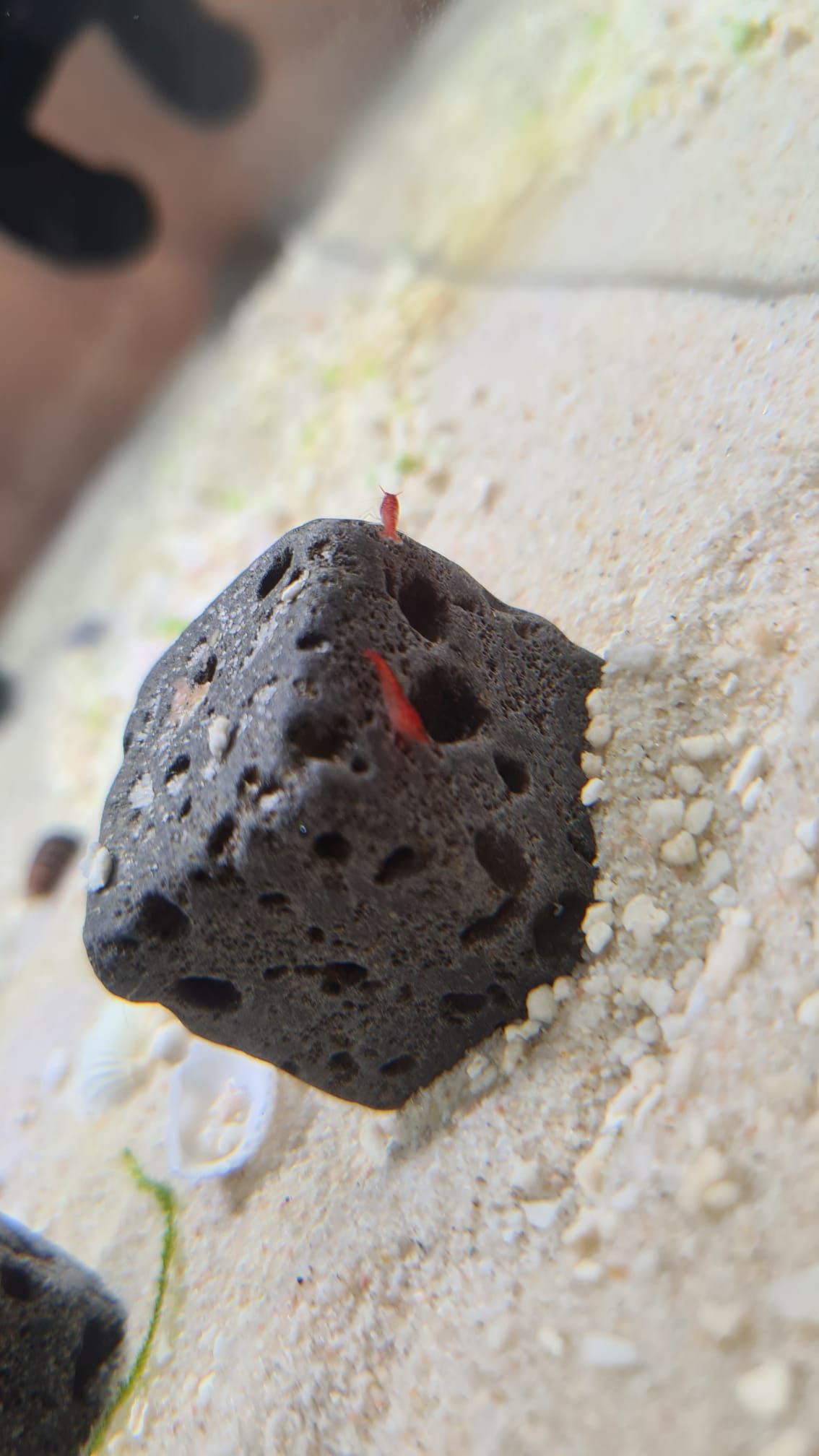 WhatsApp Image 2021-02-08 at 15.31.08 (1).jpeg