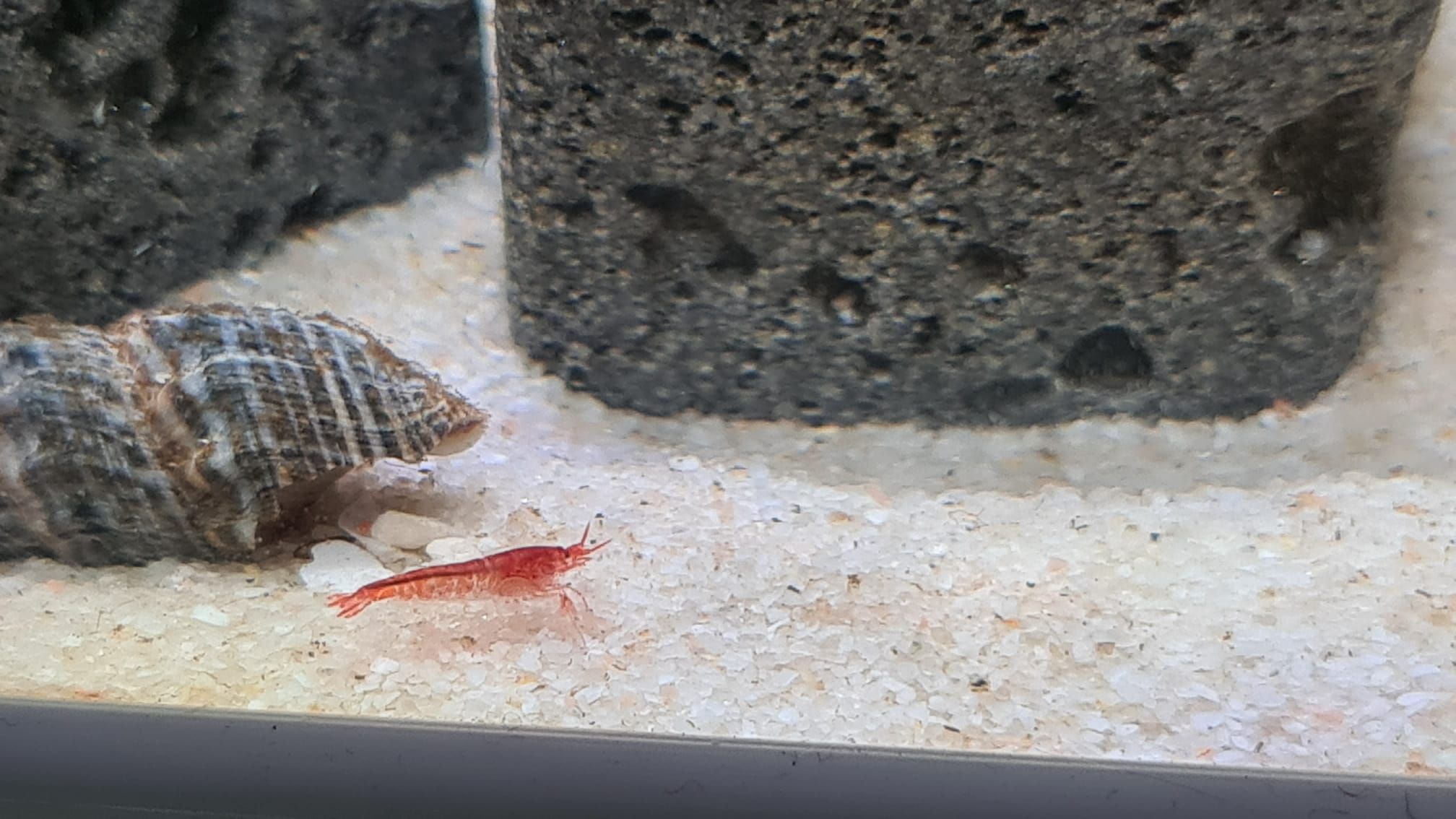 WhatsApp Image 2021-02-08 at 15.31.08 (2).jpeg