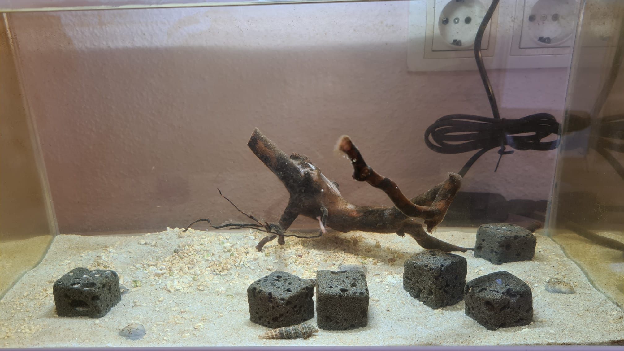 This is how my tank looks now