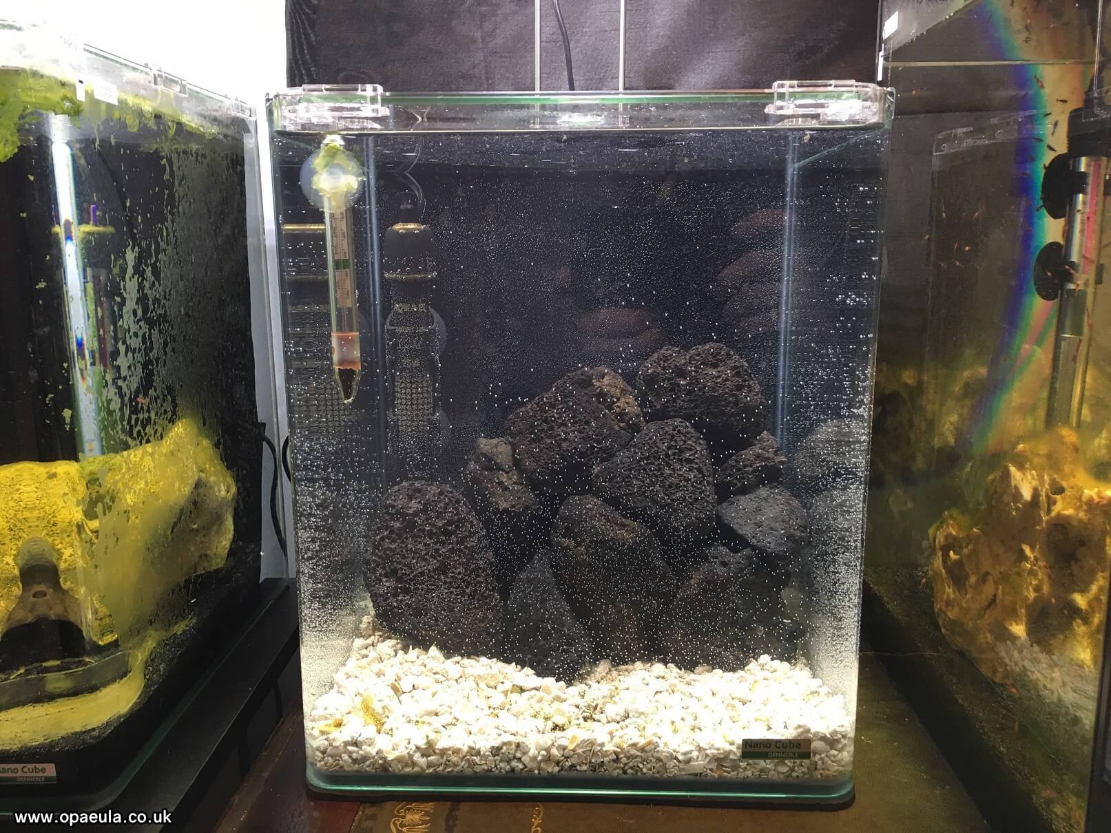 Photo 03-06-2016, 16 37 15.jpg