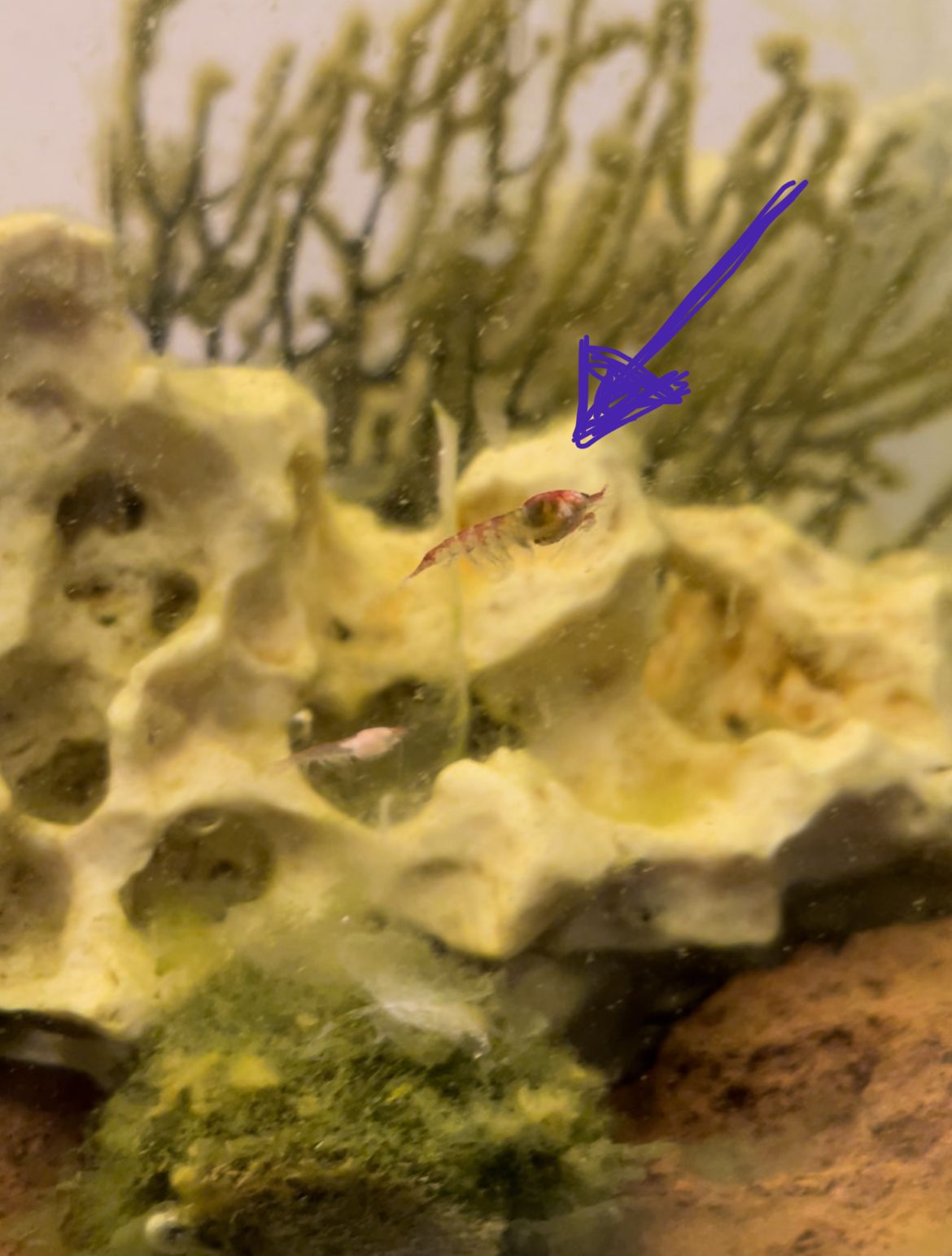 00F6A940-207D-4654-BCB3-AEA201AA018F.jpeg