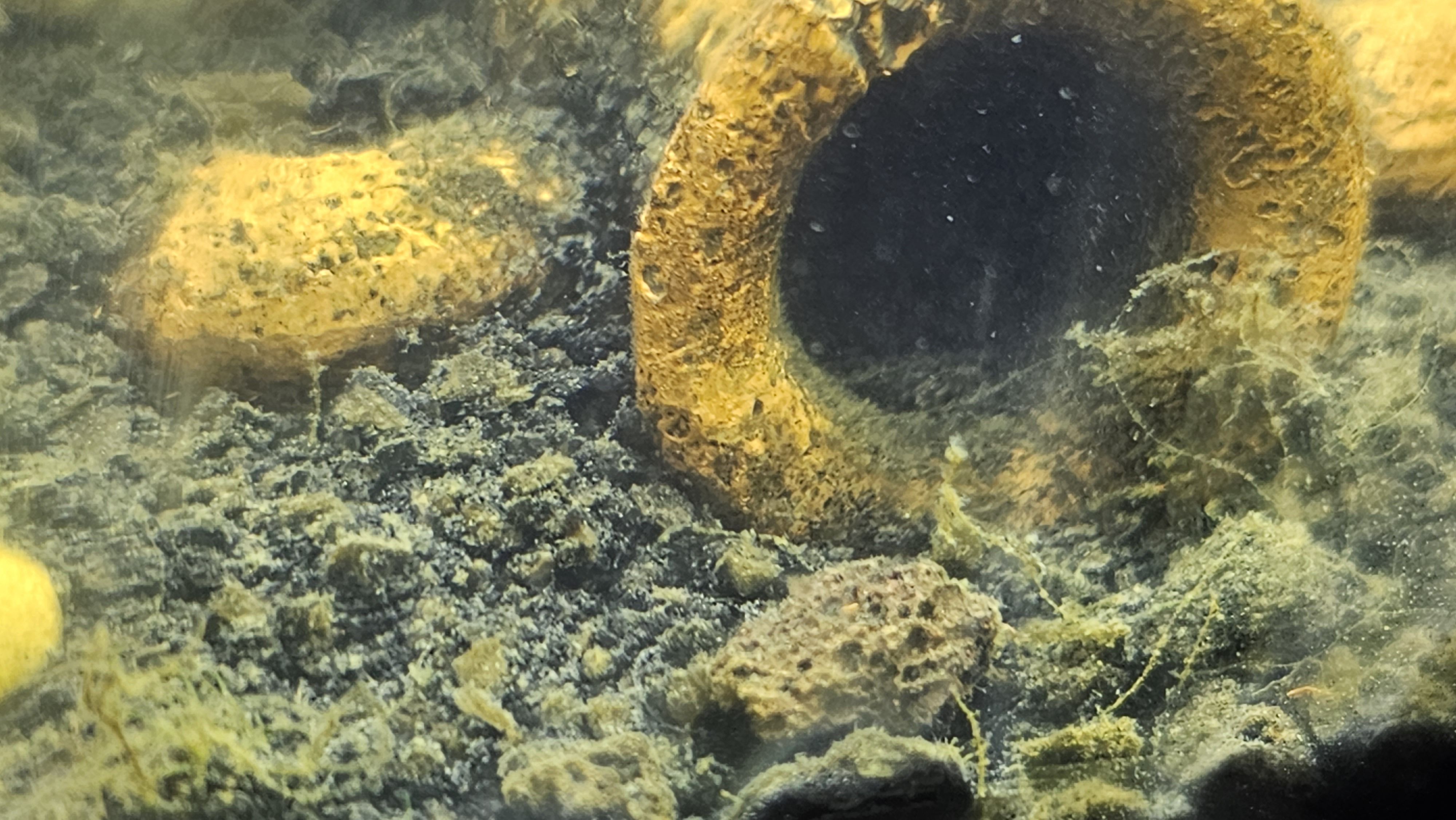 Weird sediment