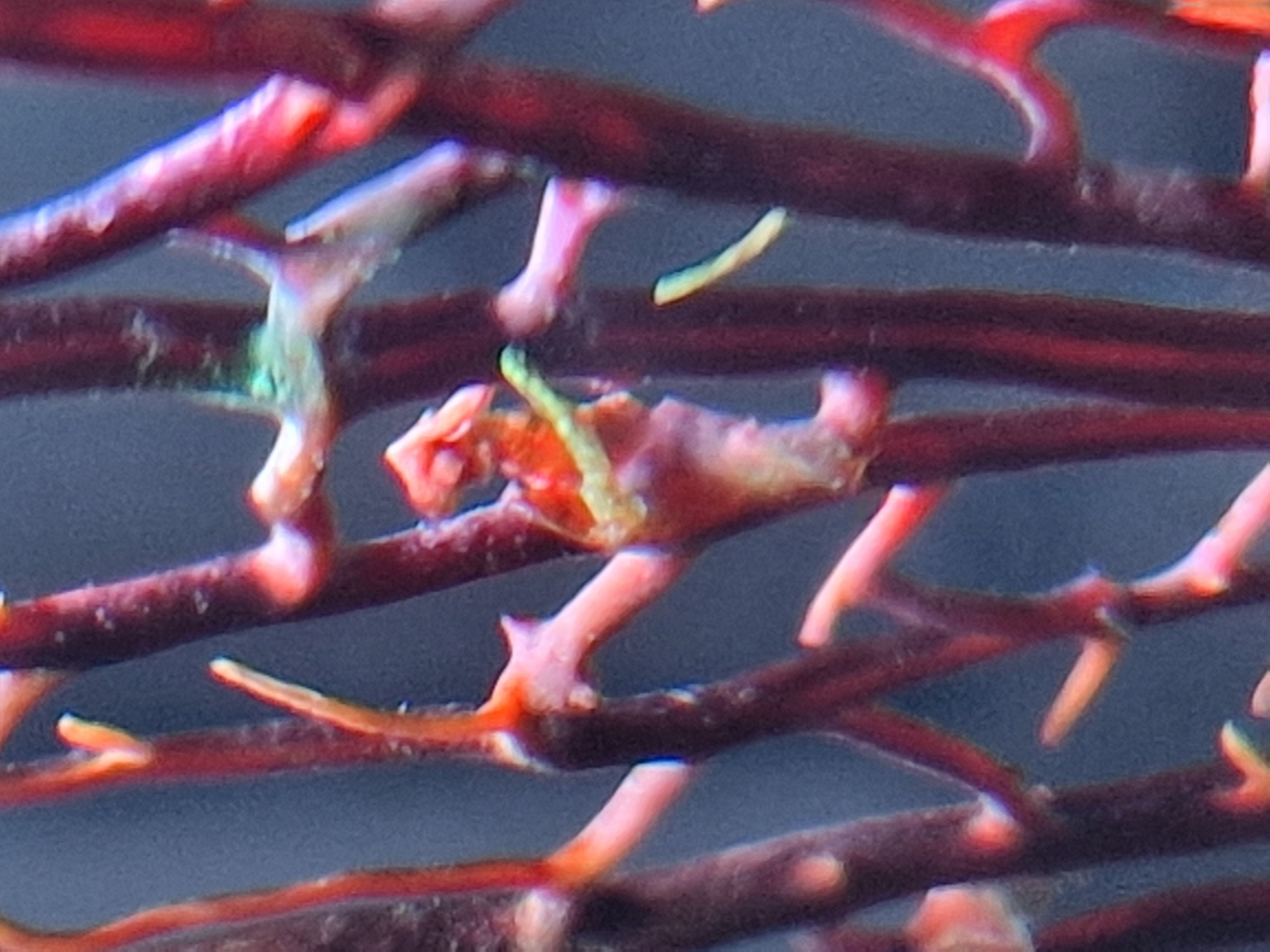 20251027_024847.jpg