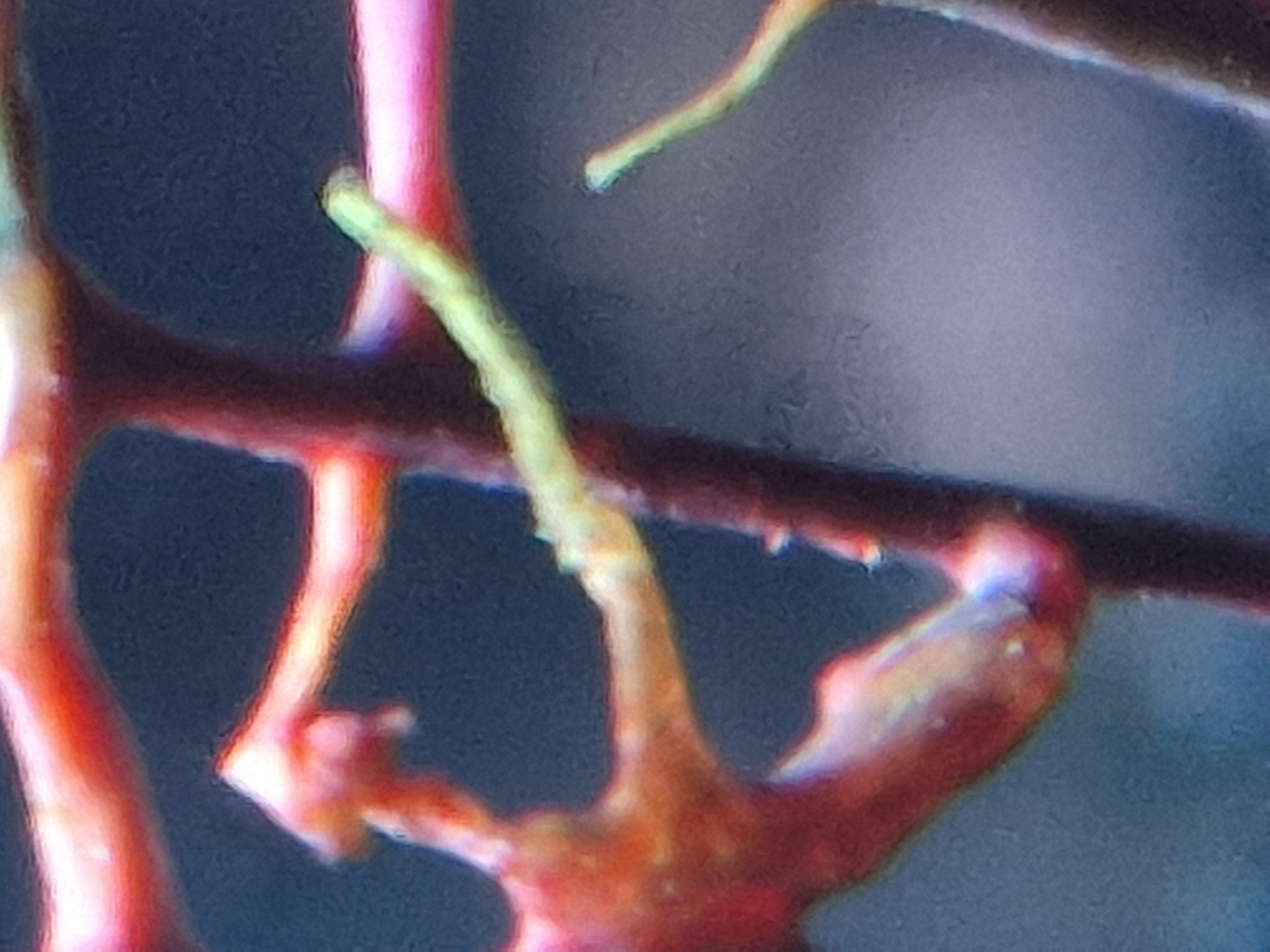 20251027_024953.jpg