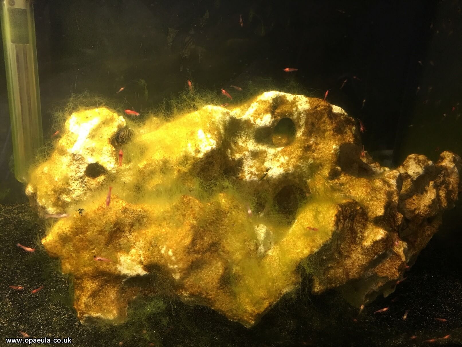 Photo 04-07-2016, 18 28 12.jpg