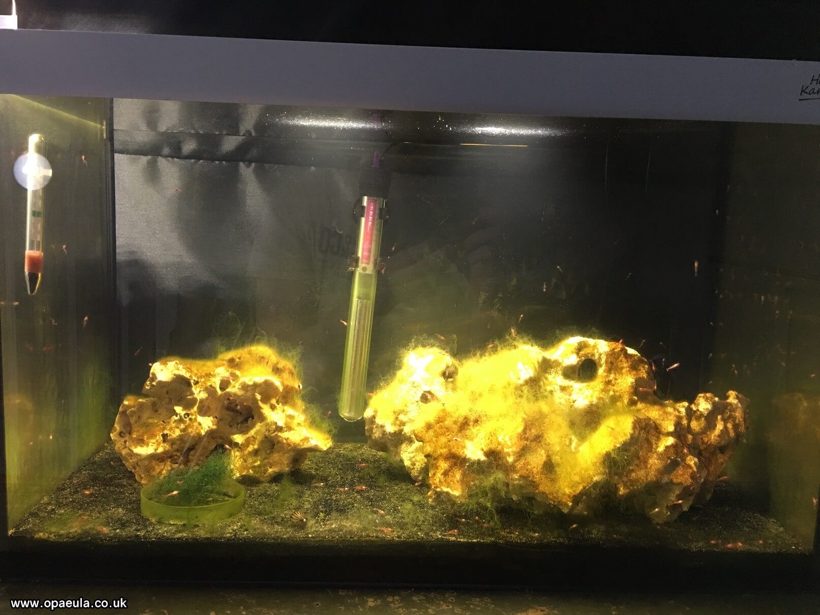 Photo 04-07-2016, 18 28 02.jpg