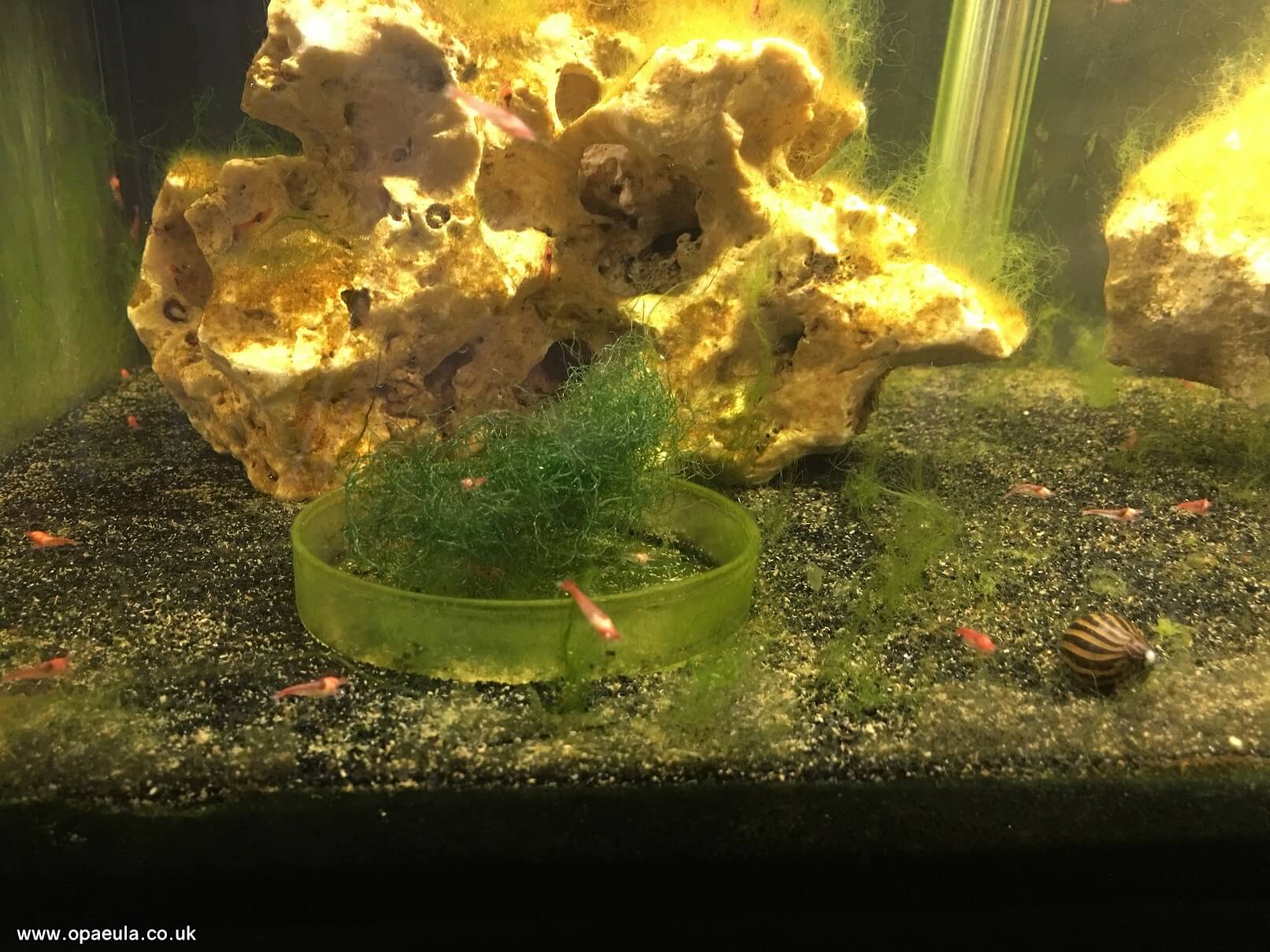 Photo 04-07-2016, 18 28 34.jpg