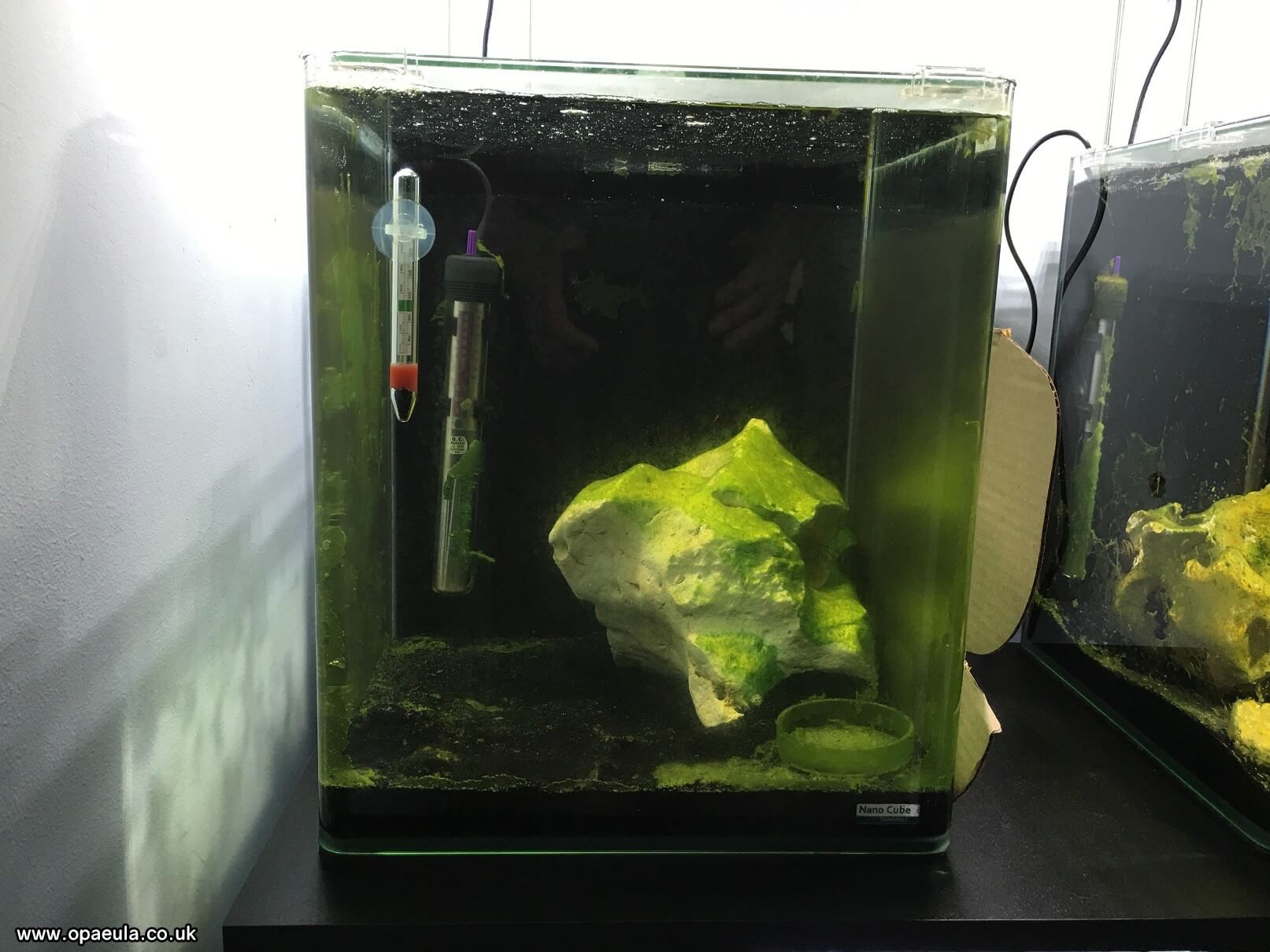 Photo 23-07-2016, 18 13 39.jpg