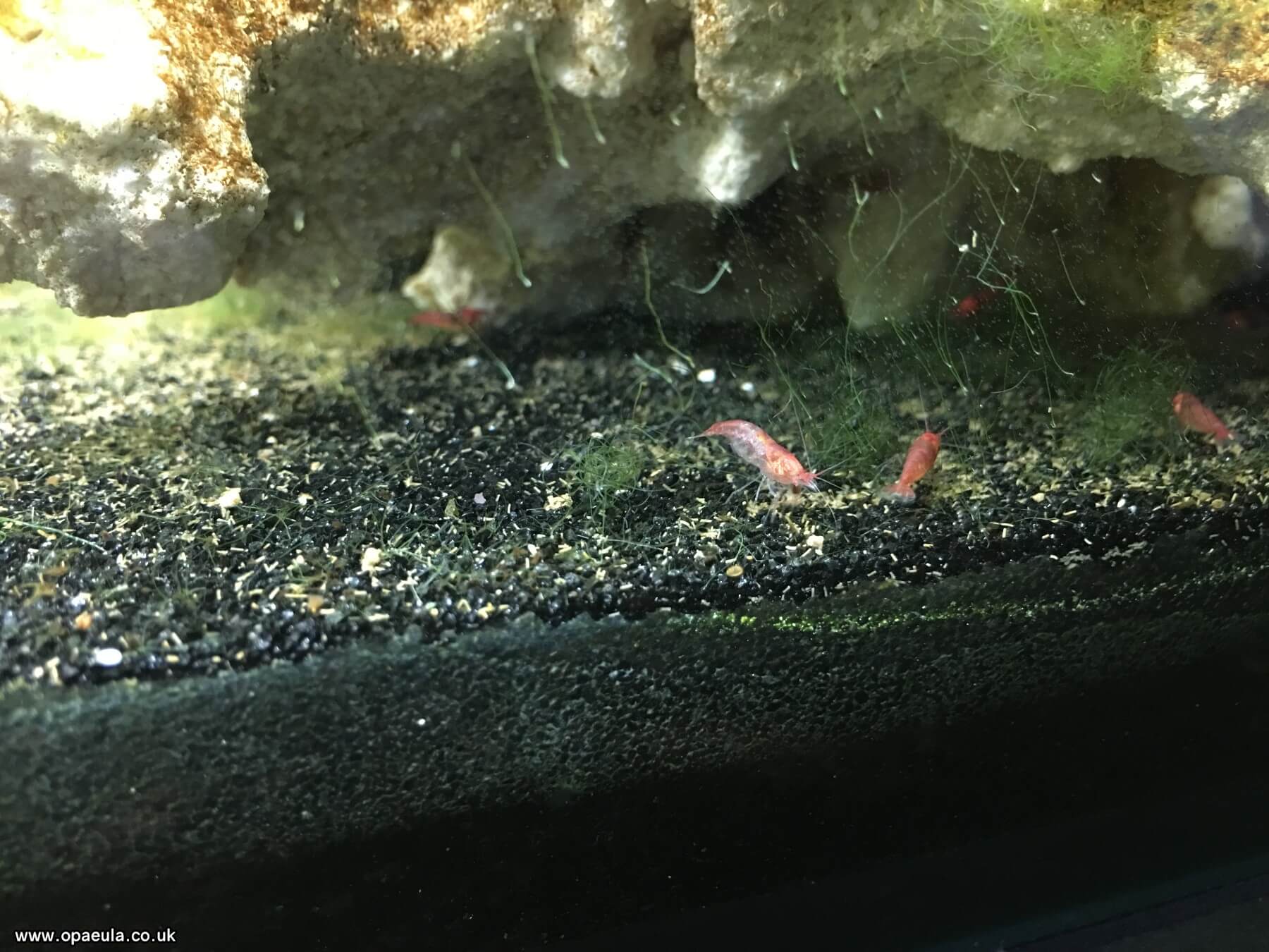 Photo 05-08-2016, 18 25 14.jpg