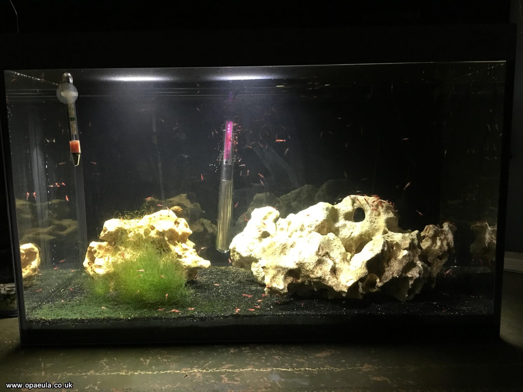 Photo 13-10-2016, 20 00 55.jpg