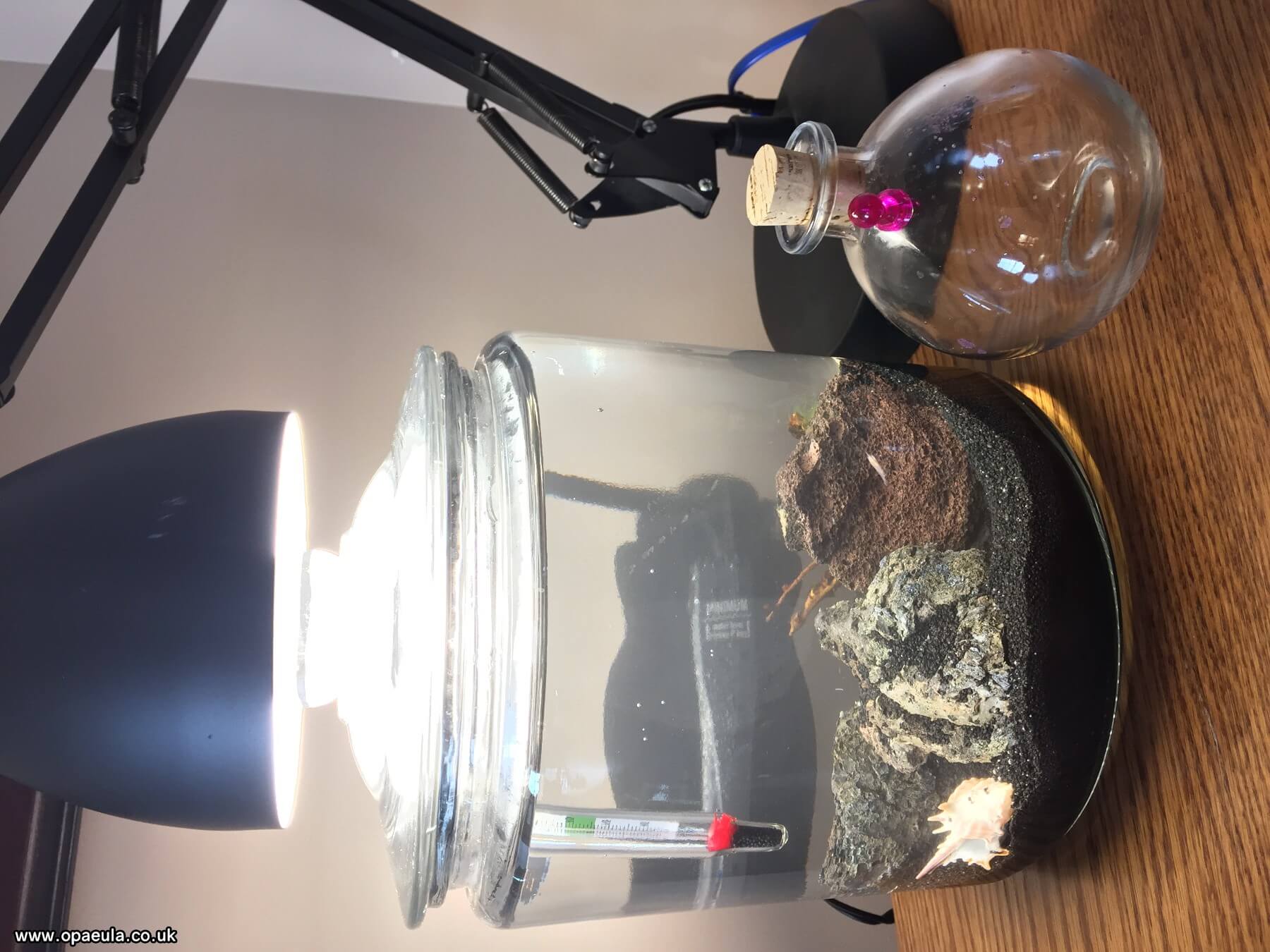 New setup 11/6/16
