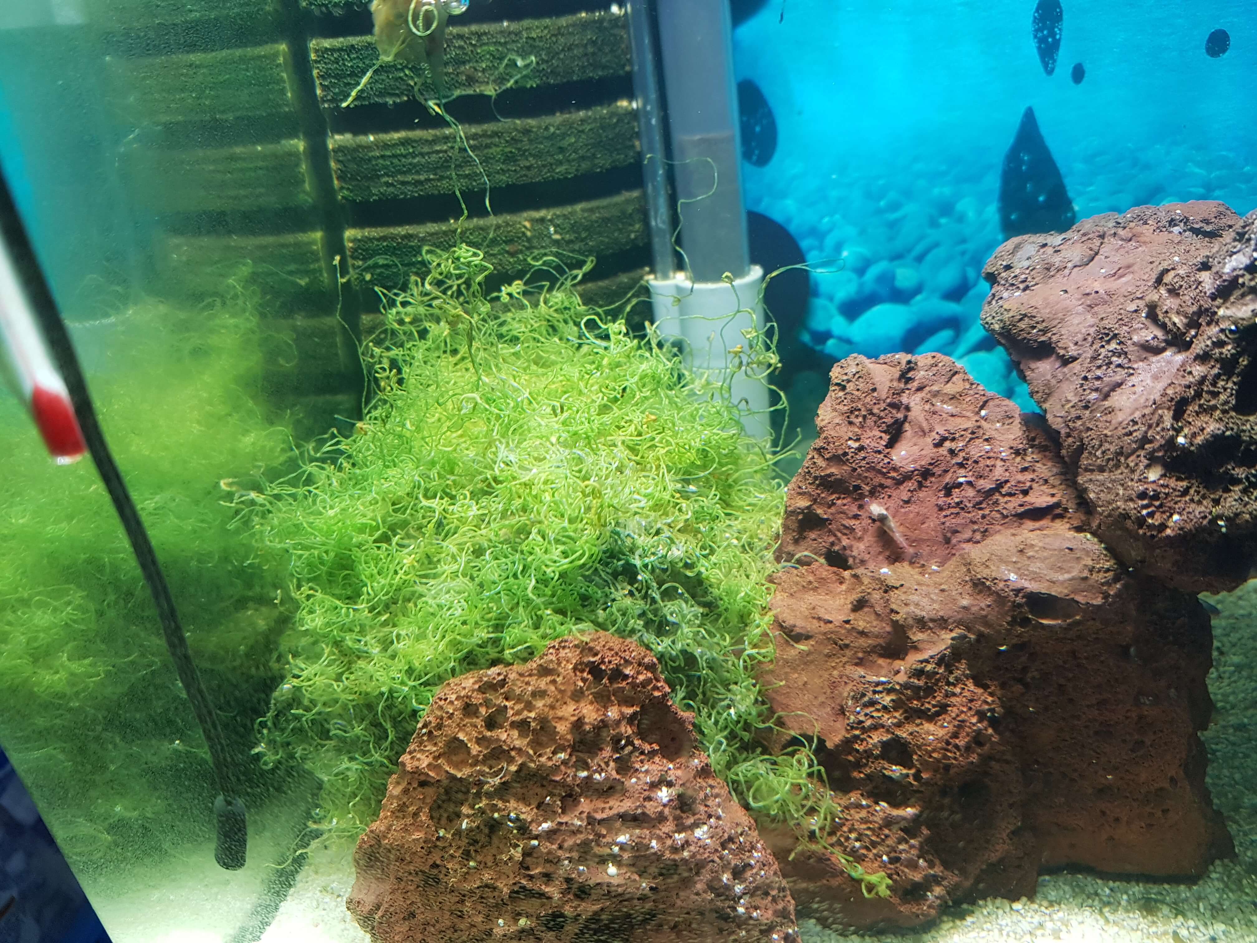 20180209_121438.jpg